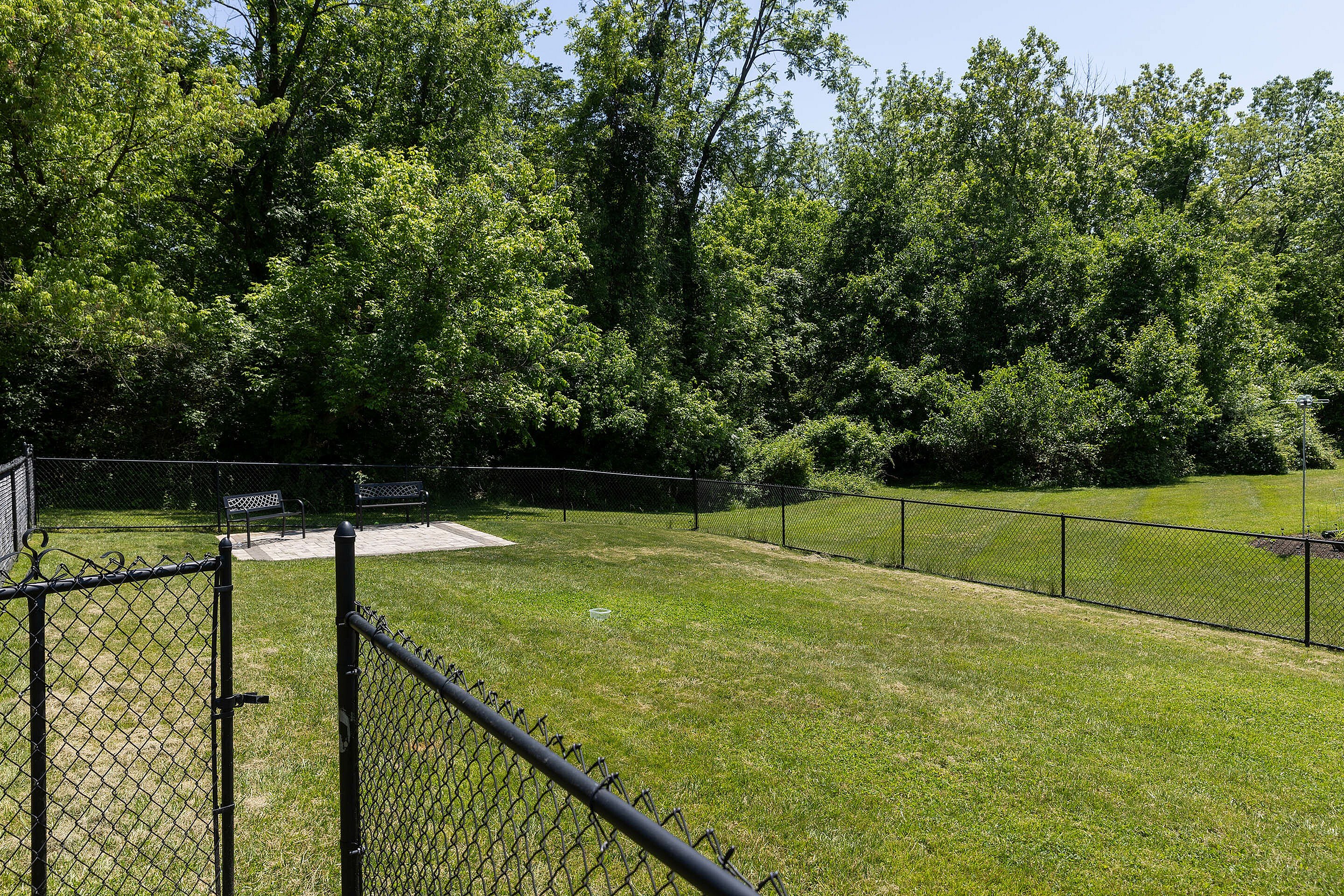 Bark Park