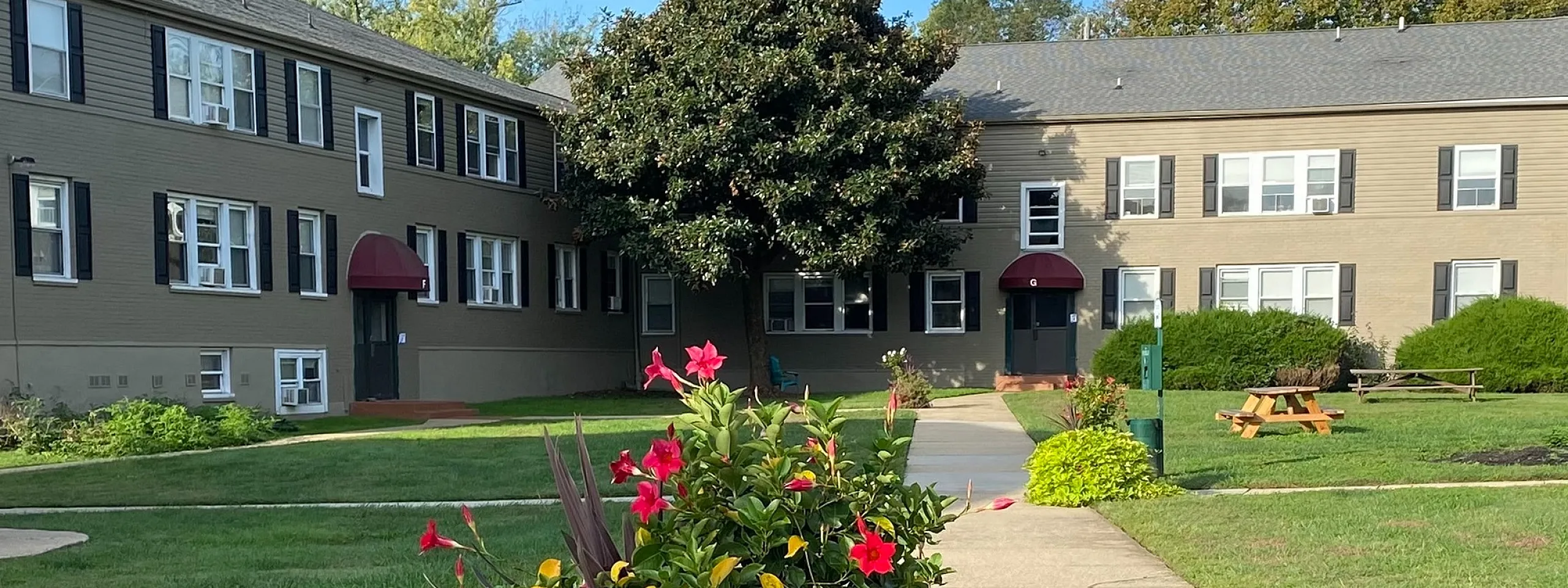Ivy Hall