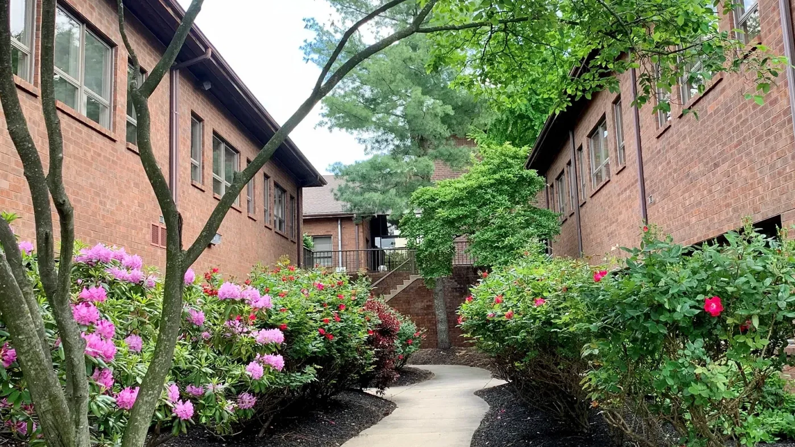 Buttonwood Apartments