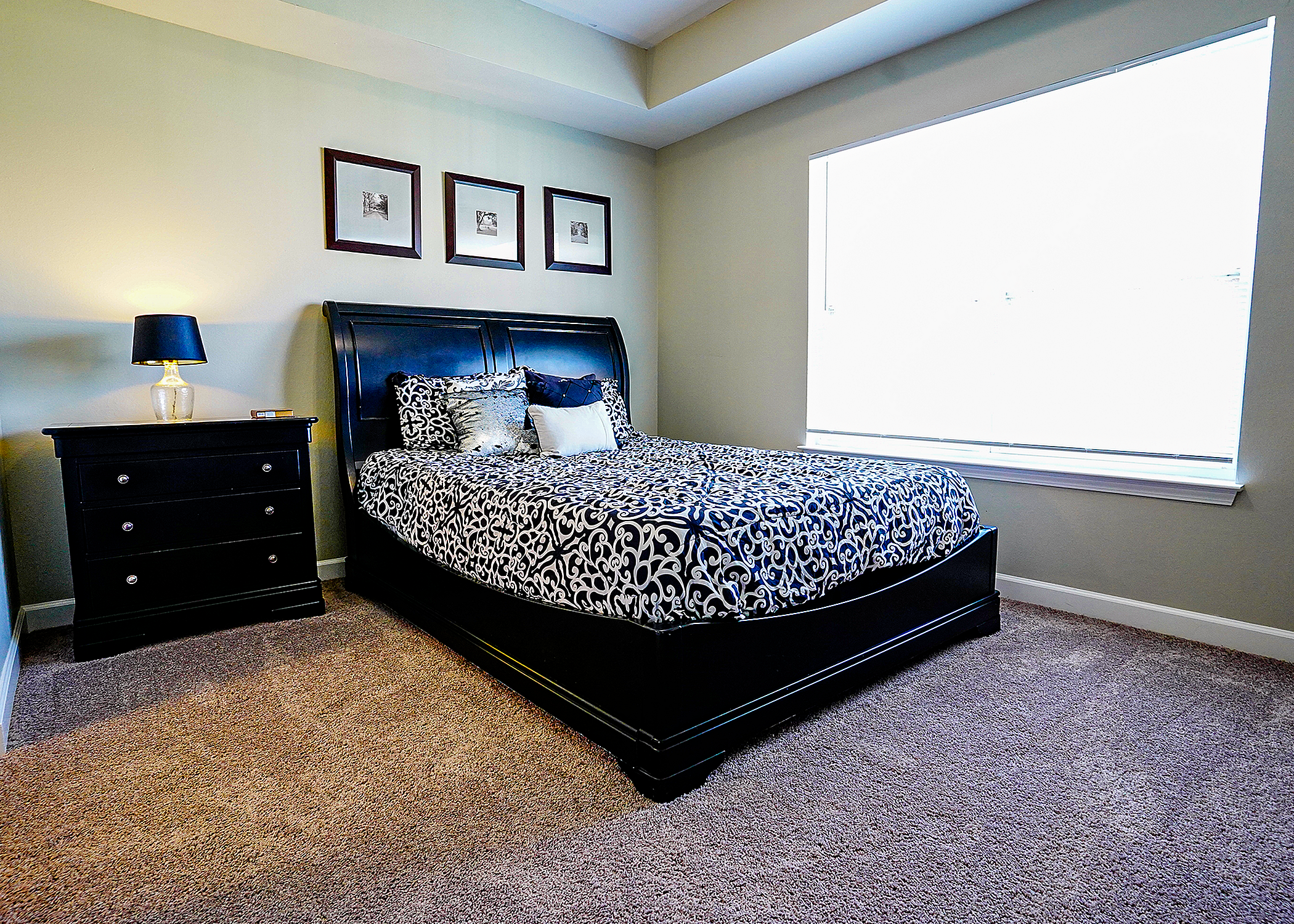 Elegant bedroom with plush bedding, chic black furniture, and soft carpet underfoot, bathed in natural light.