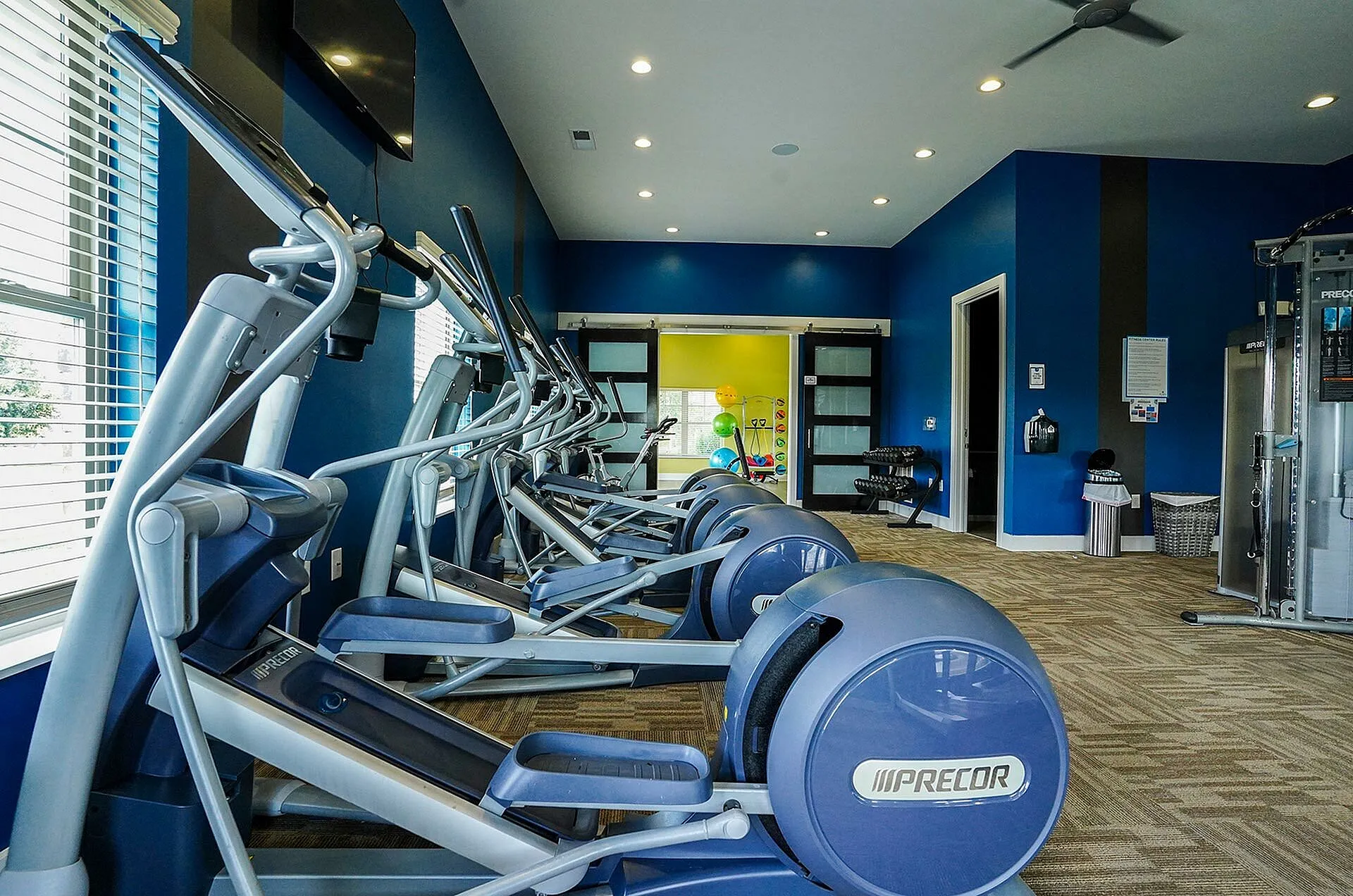 Modern fitness center with state-of-the-art elliptical machines, vibrant blue walls, and ample natural light.