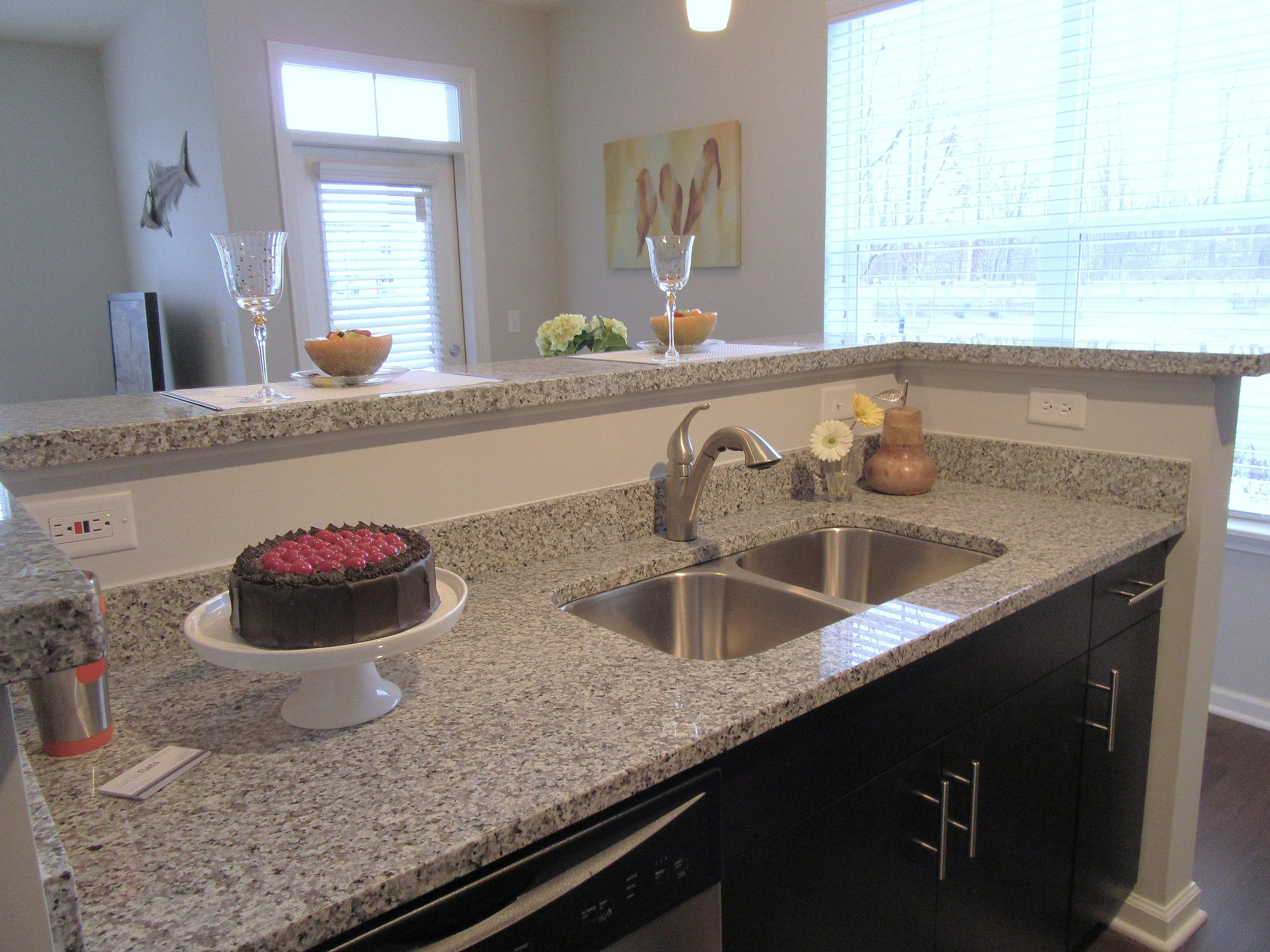 Elegant kitchen with sleek granite countertops, dual sinks, and natural light highlighting modern decor including a stylish cake display and decorative vases.