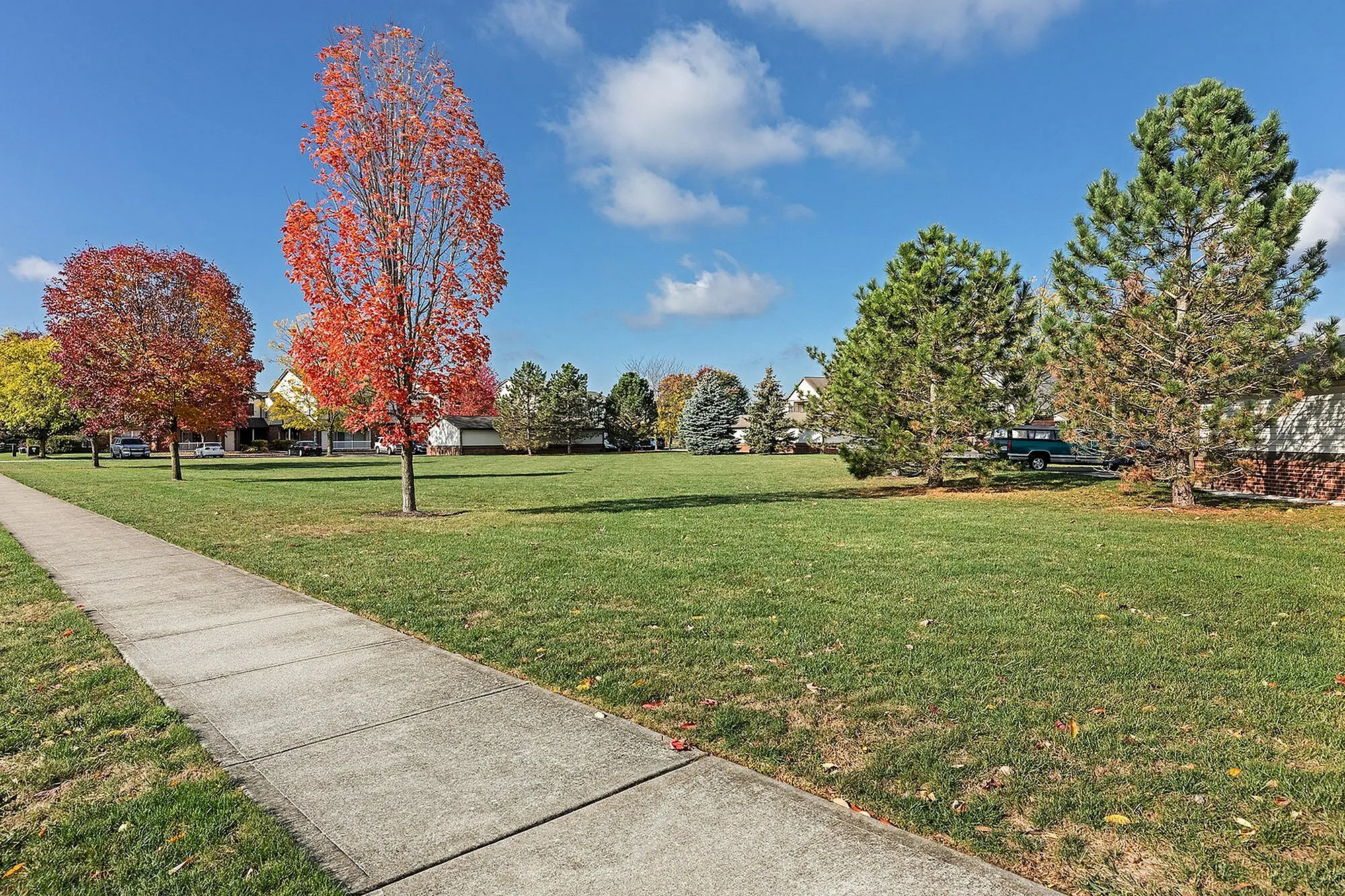 Charming neighborhood view with vibrant autumn trees lining a peaceful walkway under a clear blue sky.