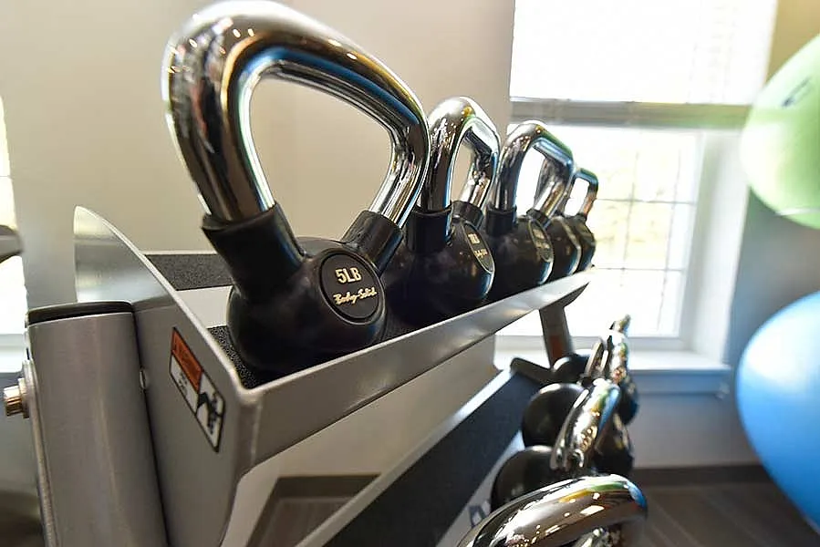 Modern fitness room with a sleek rack of polished kettlebells in natural light.