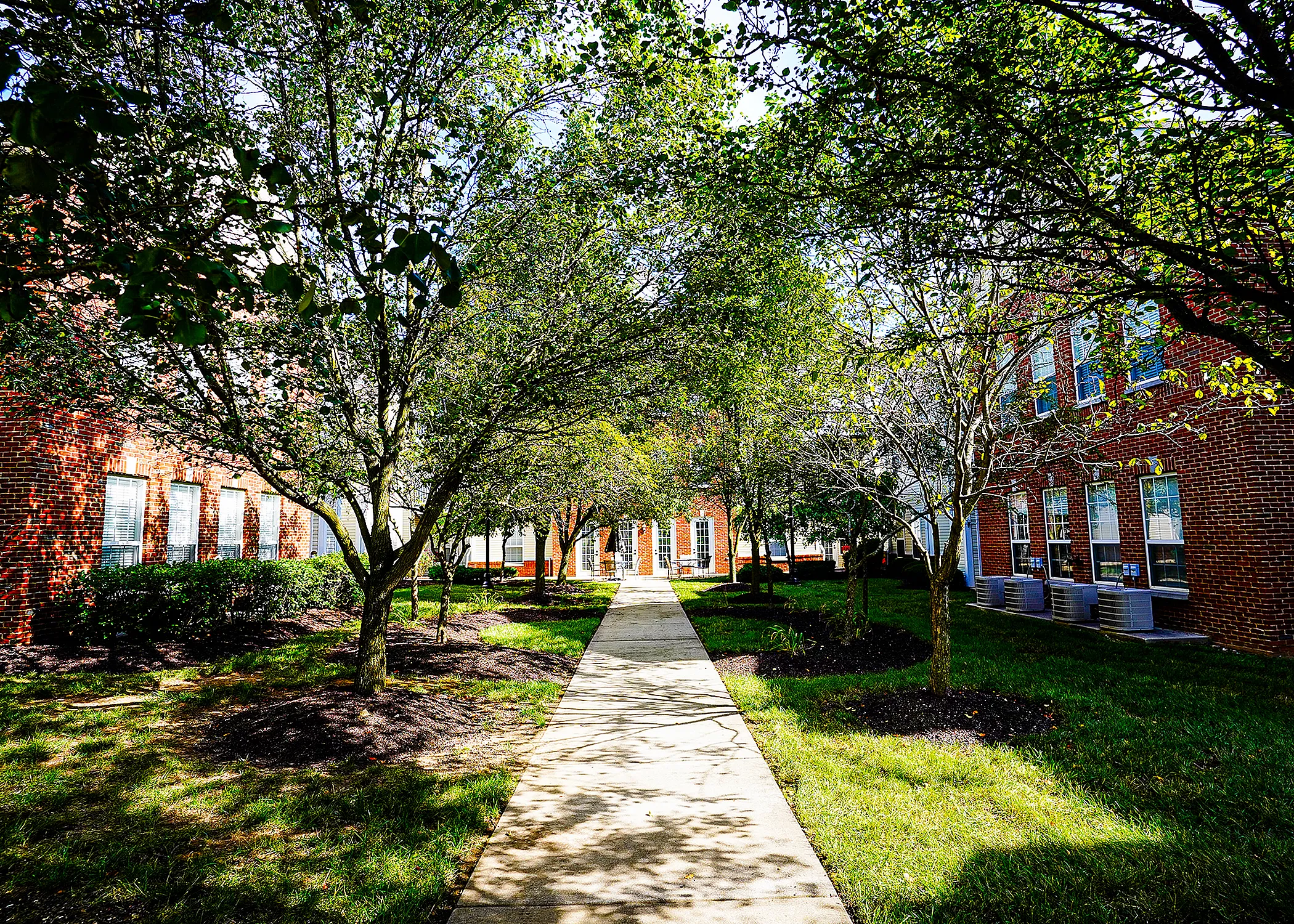 Charming apartment complex with lush green courtyard and inviting brick architecture.