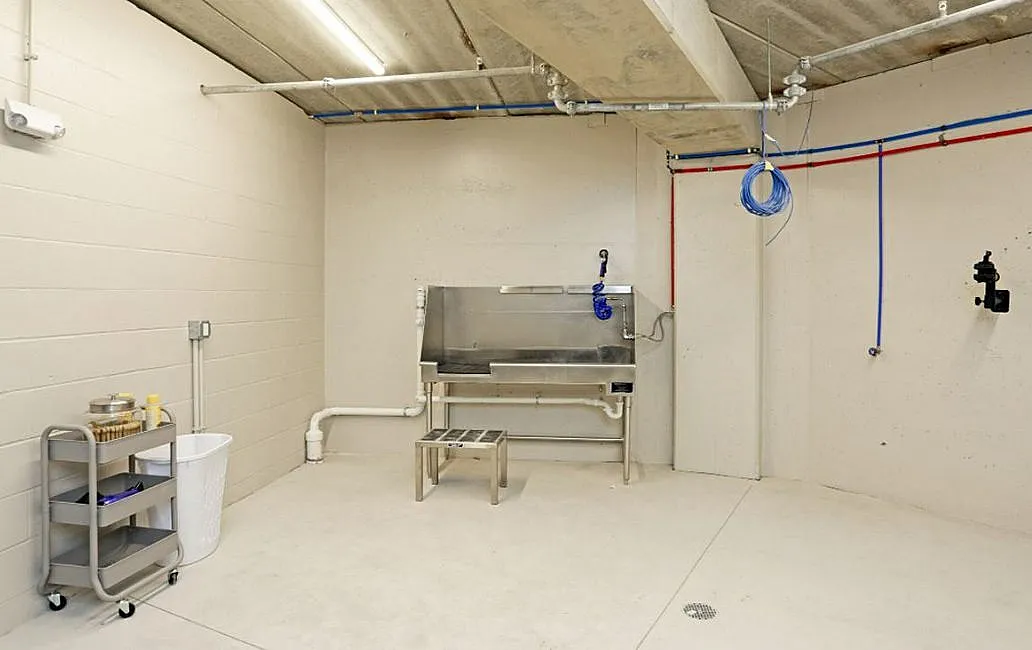 Modern utility room with sleek stainless steel sink, bright lighting, and organized storage shelves, ideal for multi-purpose use.