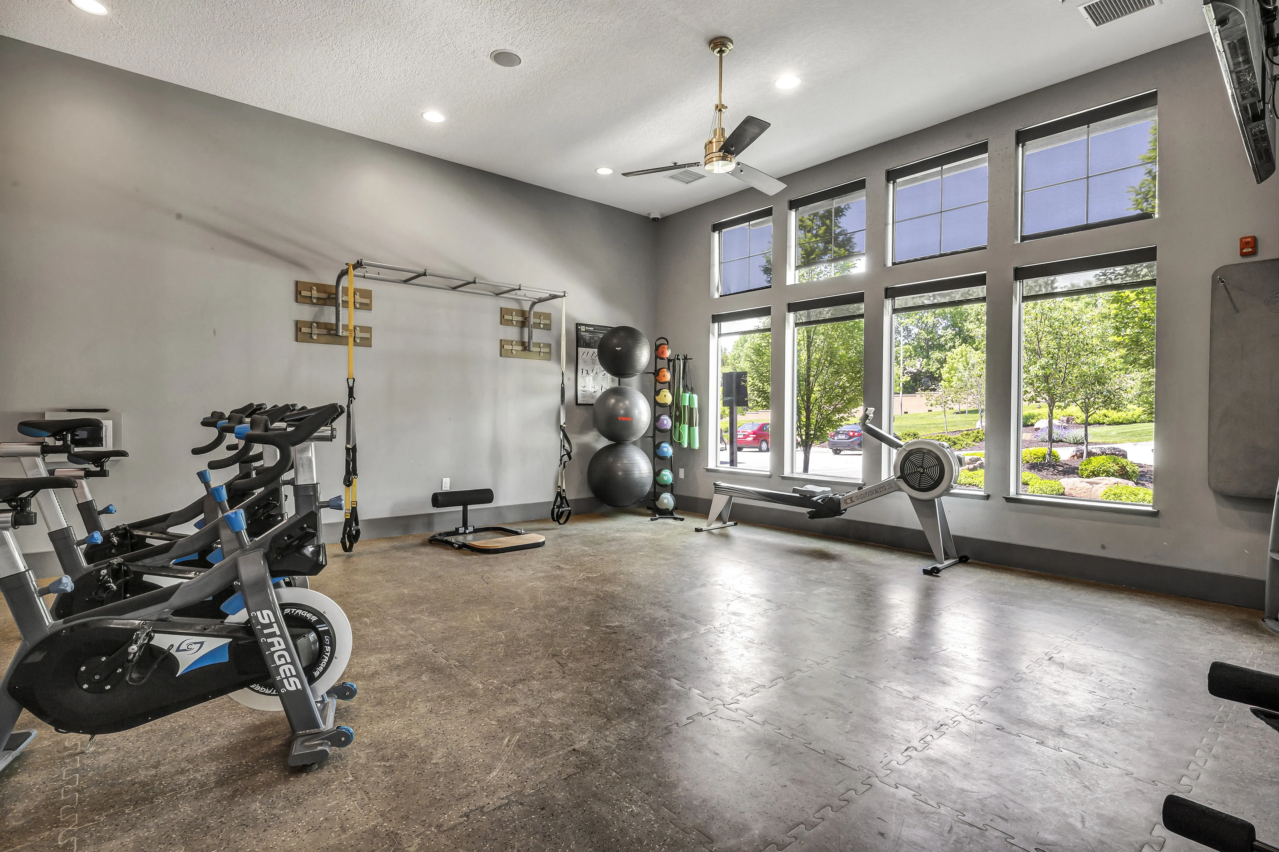 Spacious modern gym with exercise bikes, fitness balls, and large windows offering scenic views.