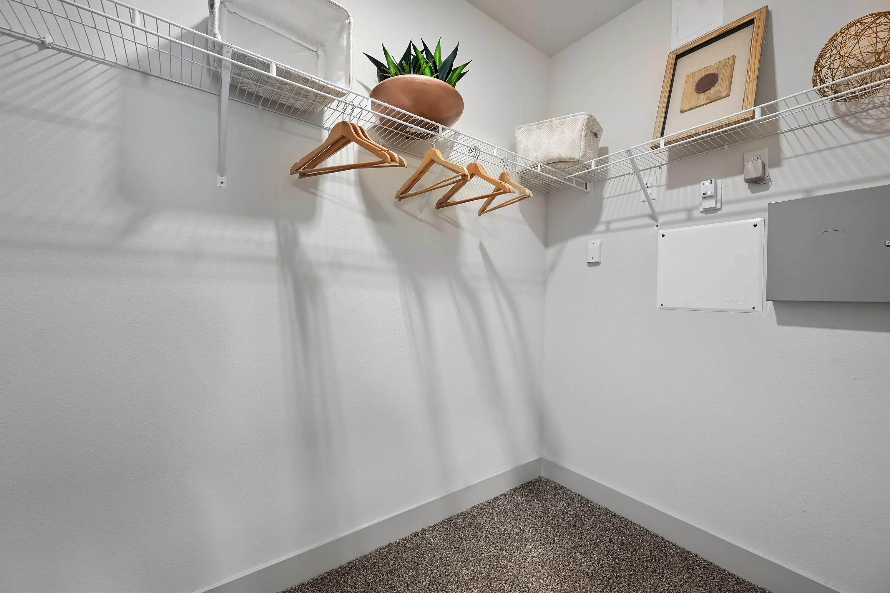 Spacious modern walk-in closet with white shelving, decorative plant, and ample storage space.