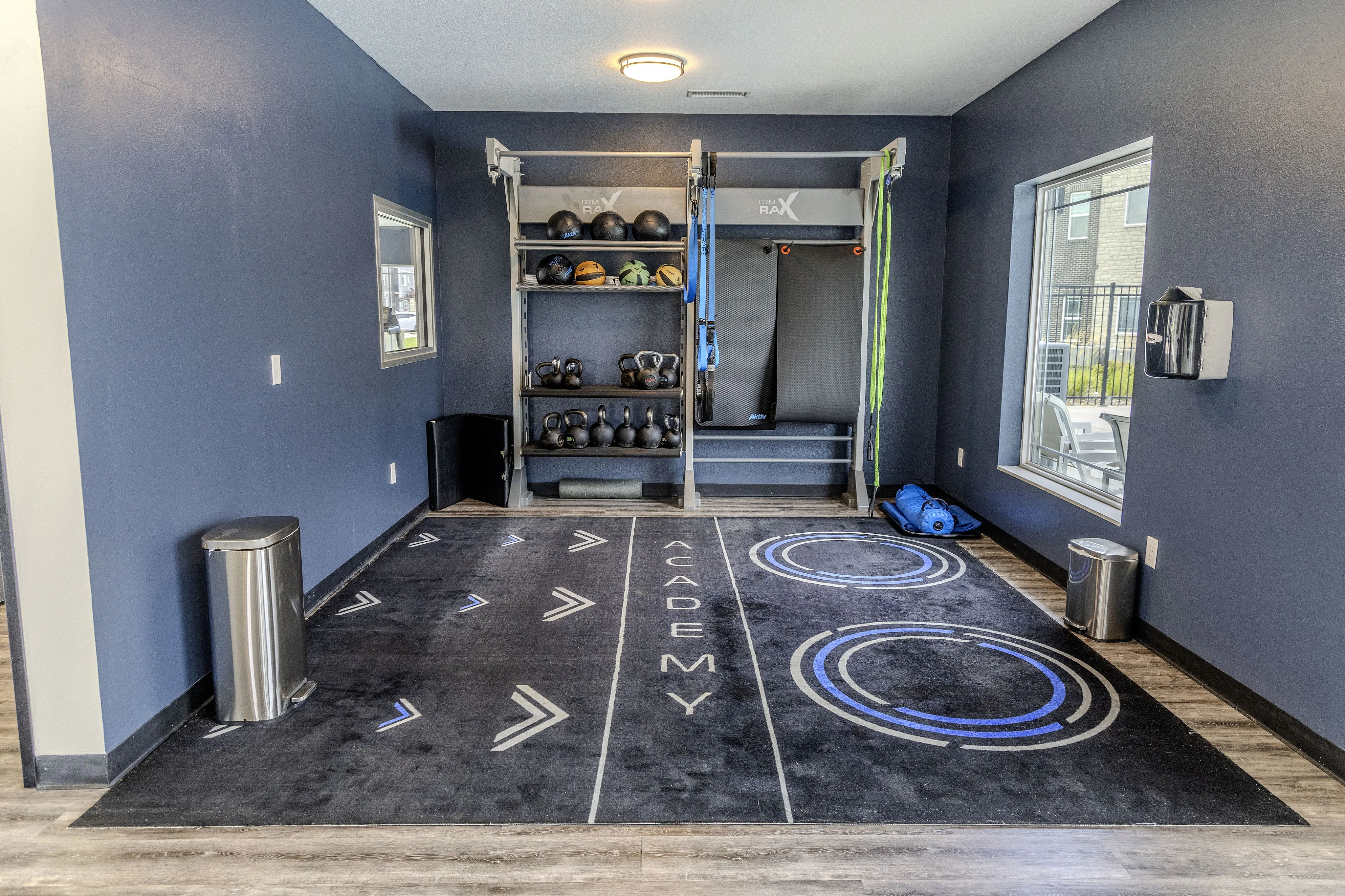 Contemporary fitness space featuring sleek exercise equipment, vibrant blue walls, and large windows for an energizing workout experience.