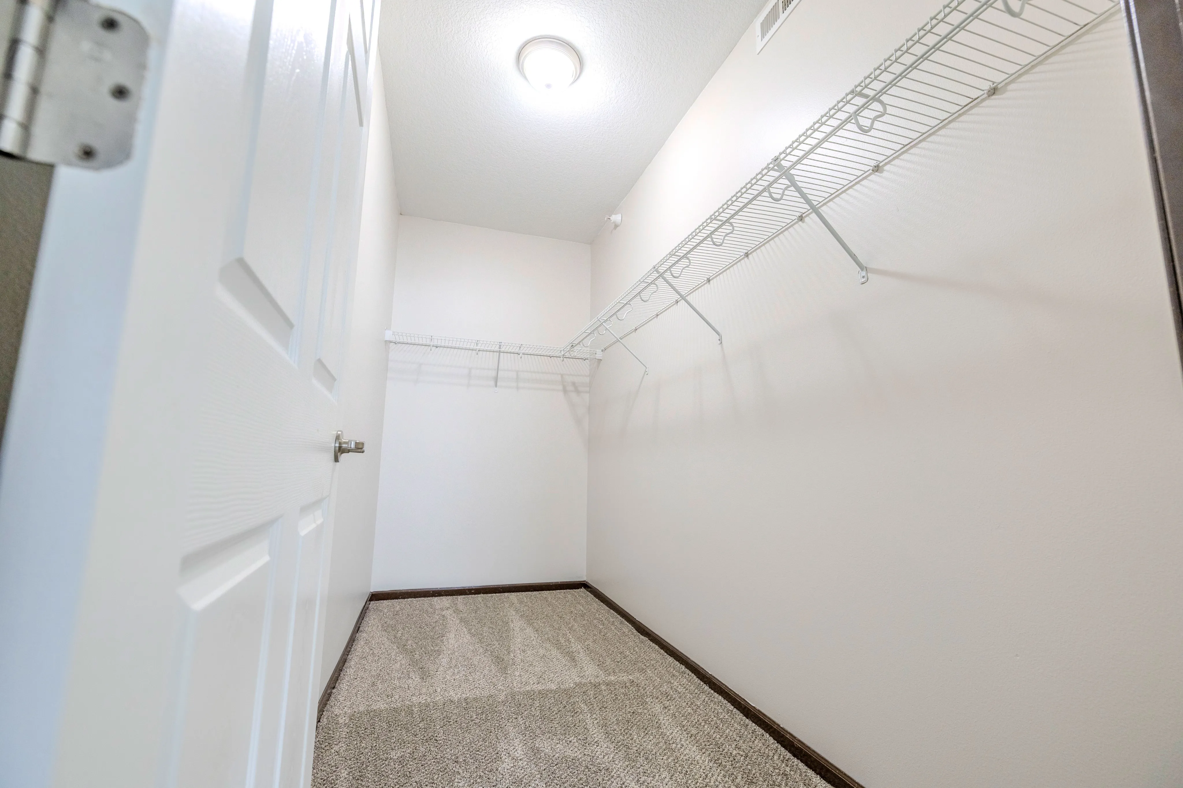Bright, spacious walk-in closet with plush carpet and ample shelving for organized storage.