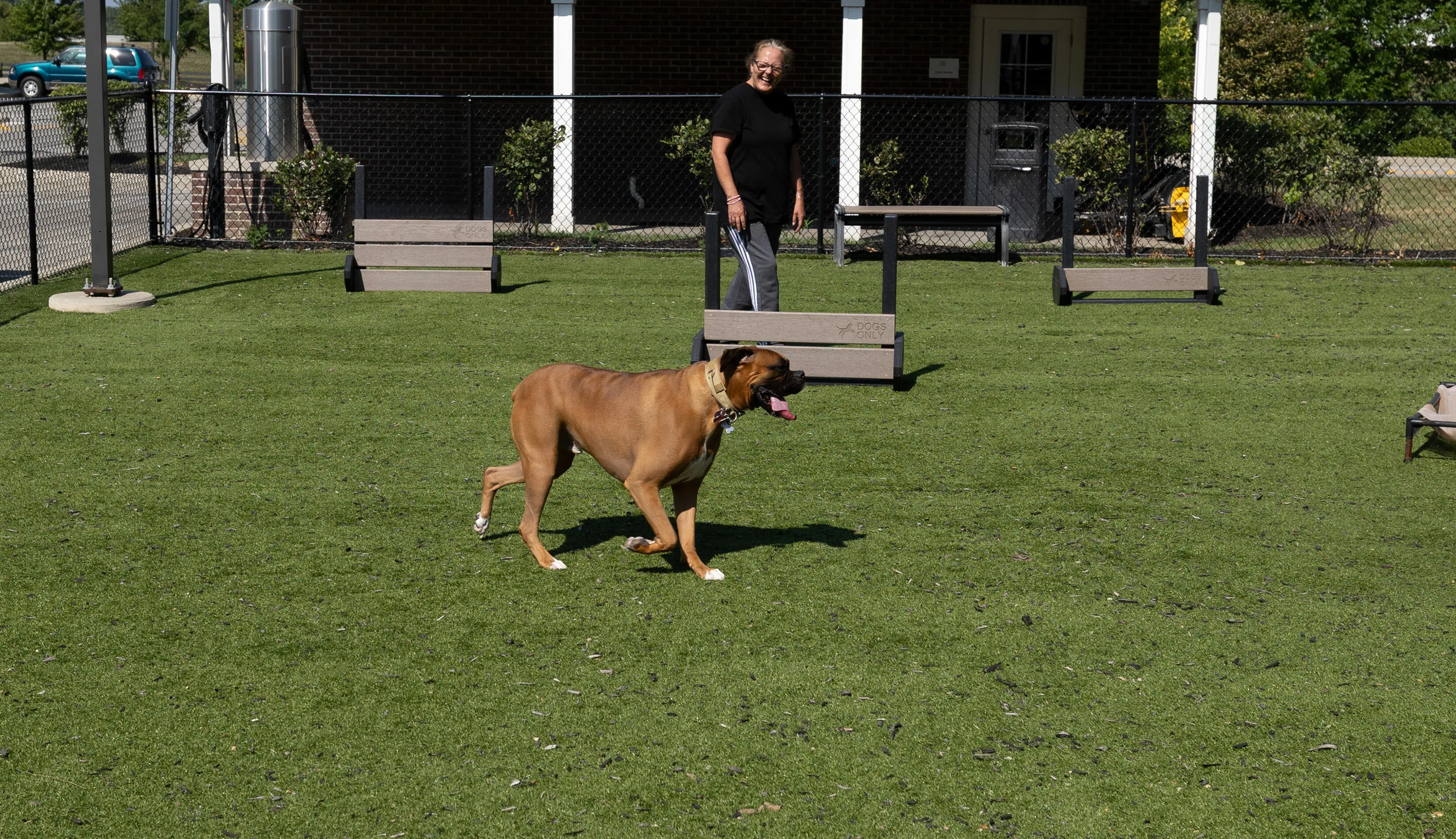 Vibrant pet-friendly outdoor area with a cheerful dog enjoying the lush green space, perfect for active play and relaxation.