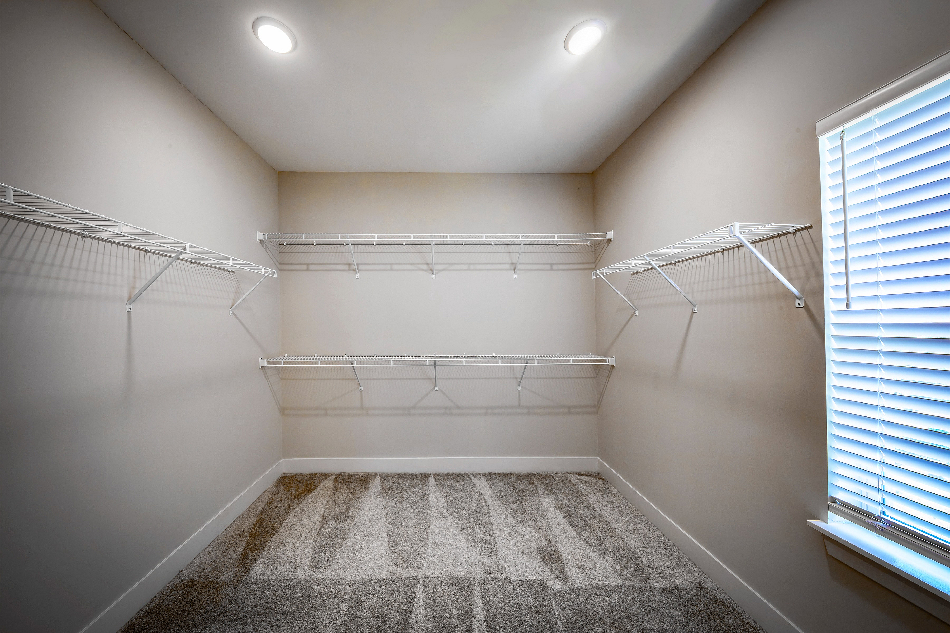 Spacious walk-in closet with elegant shelving and plush carpet, bathed in natural light from a large window.