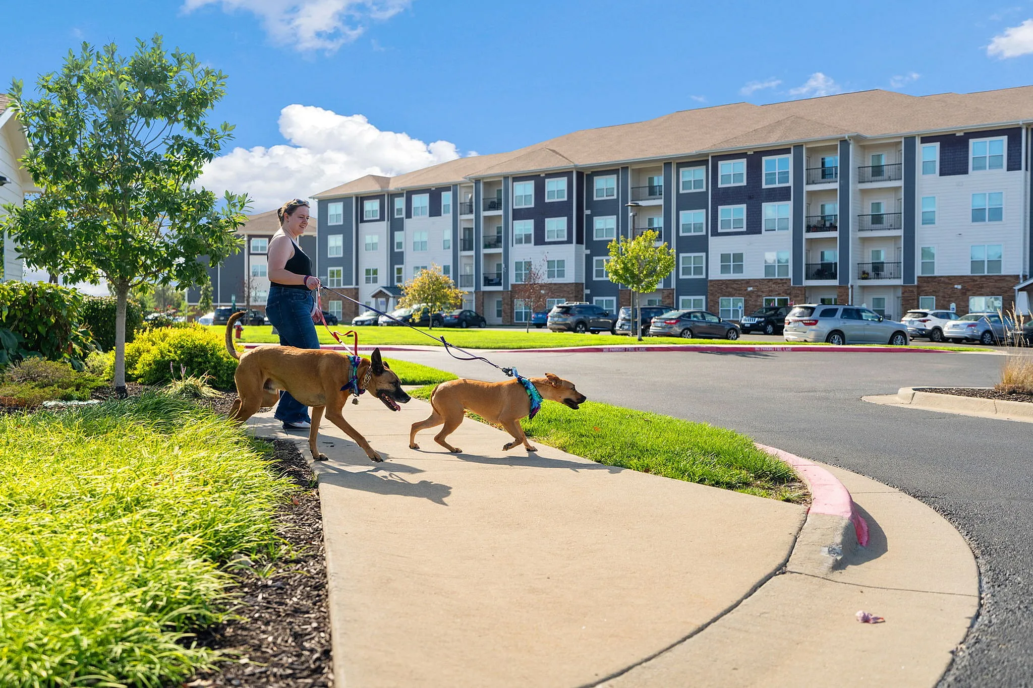Charming apartment complex with scenic pathways, ideal for dog walking and enjoying outdoor activities.