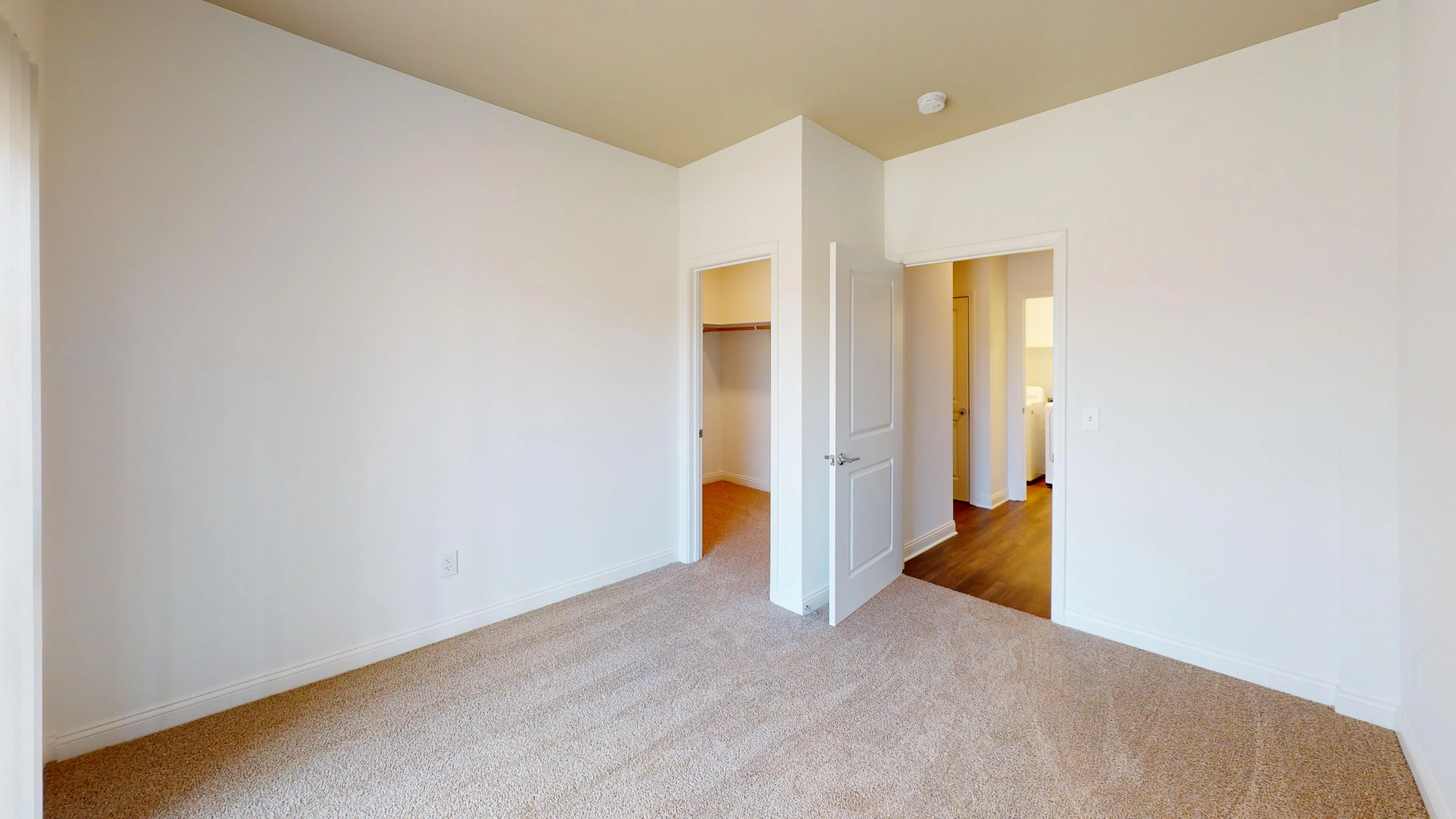Bright bedroom with carpet and a walk-in closet.