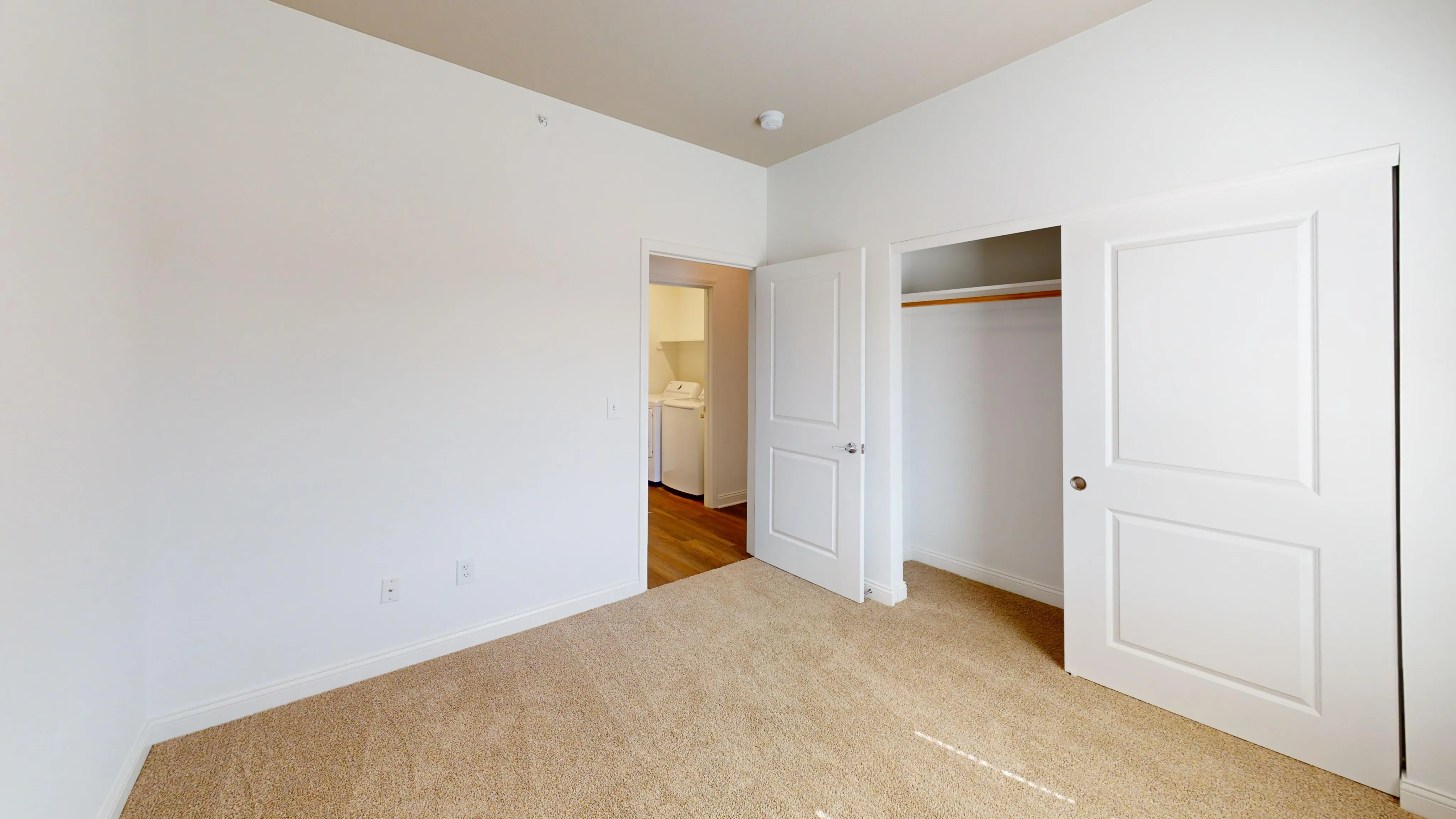 Bright bedroom with plush carpet flooring, large closet, and view into a convenient laundry area.