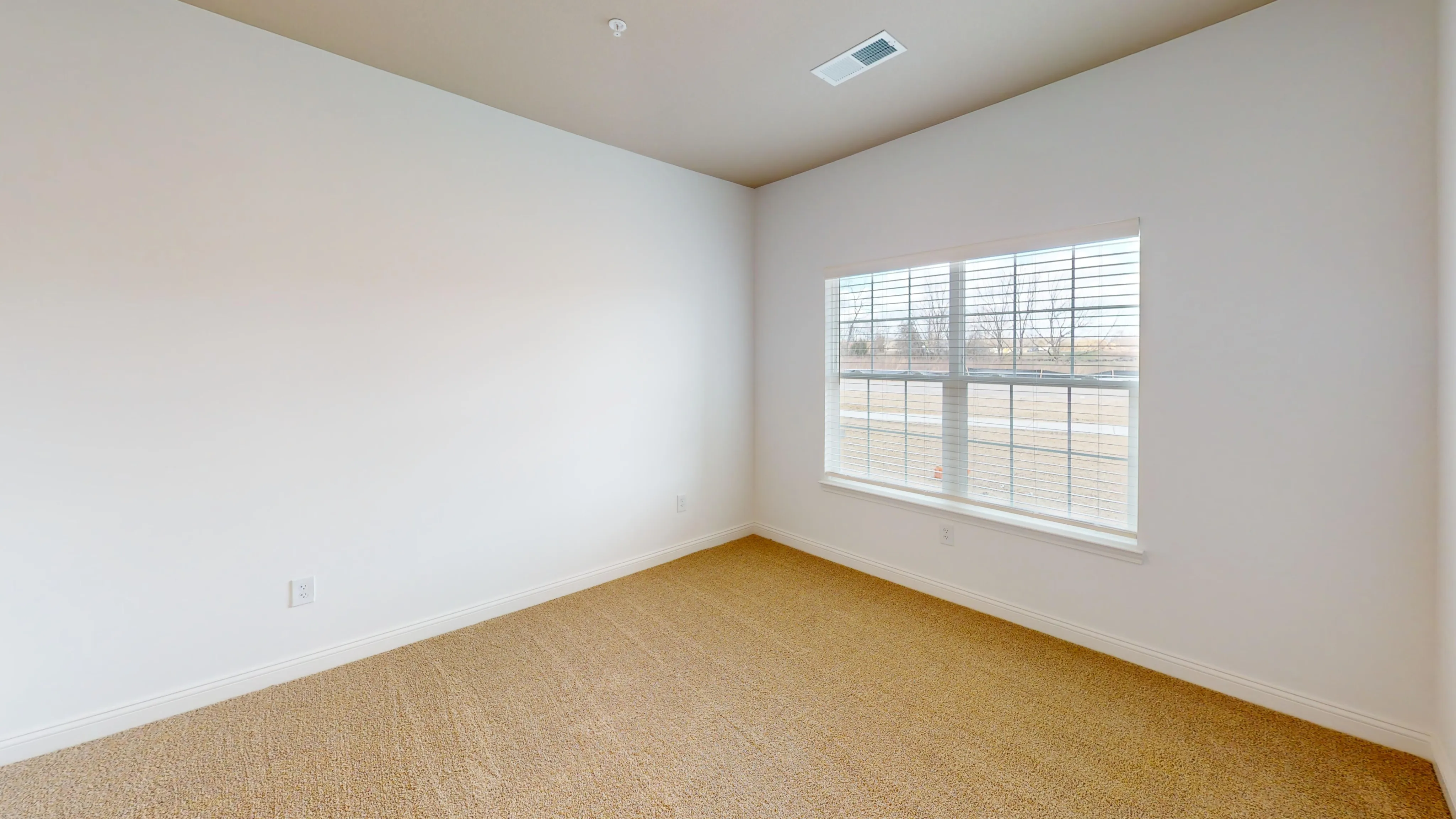 Bright, spacious room with large window and plush carpet, perfect for personalization.