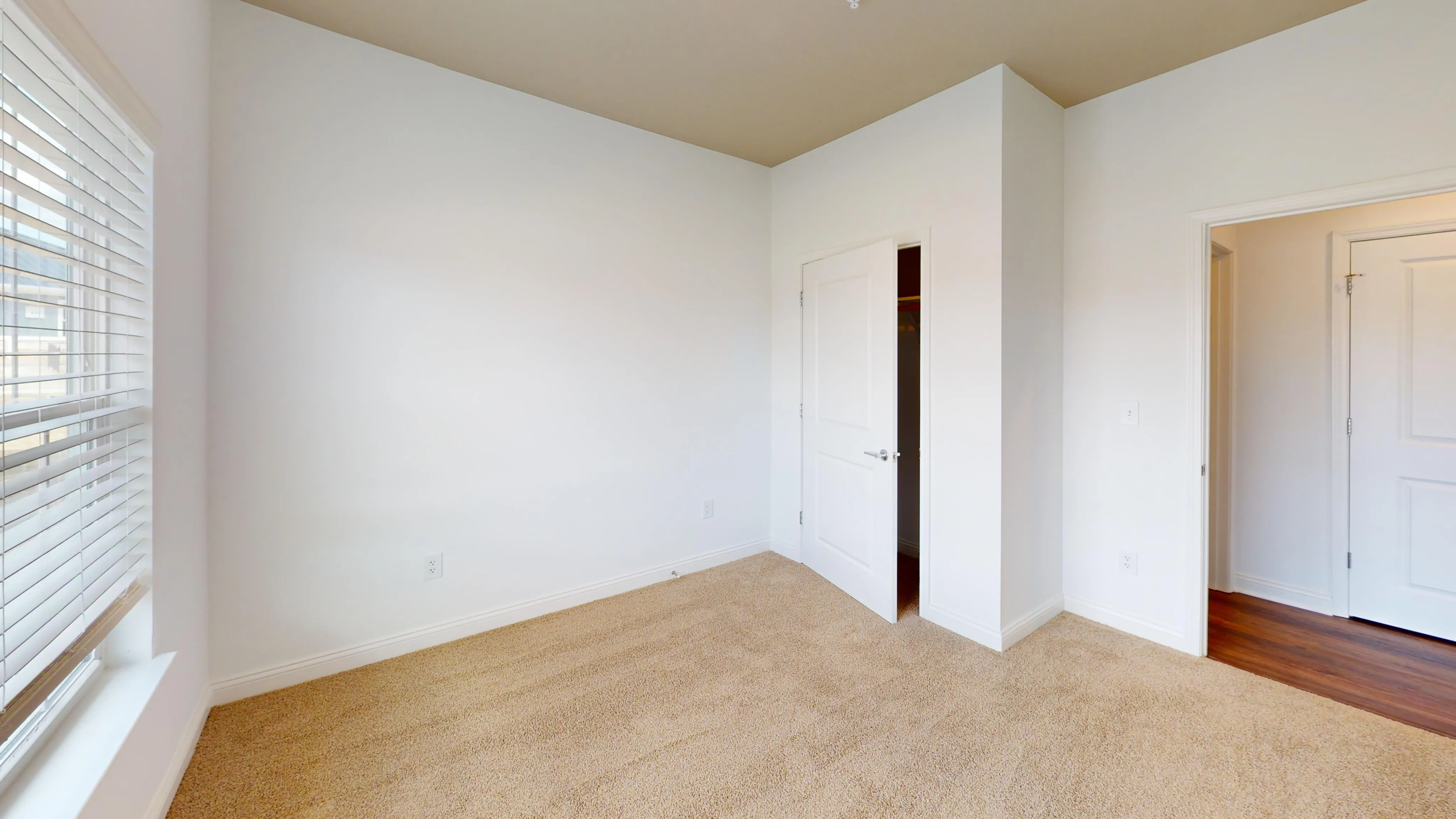 Bright, inviting bedroom with plush carpeting, ample natural light from a large window, and a spacious closet.
