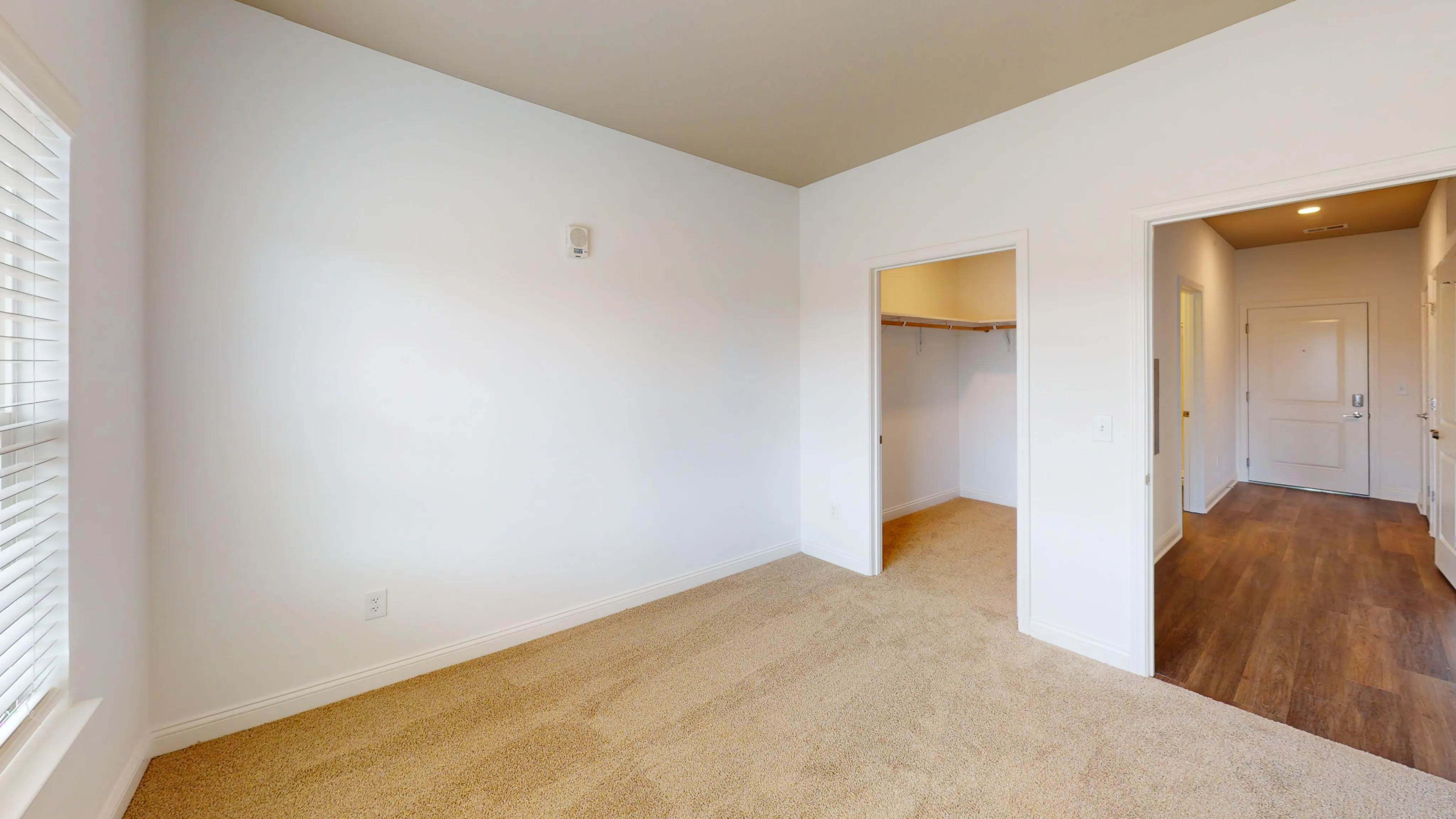 Bright apartment bedroom with plush carpeting, large window, and walk-in closet entrance.