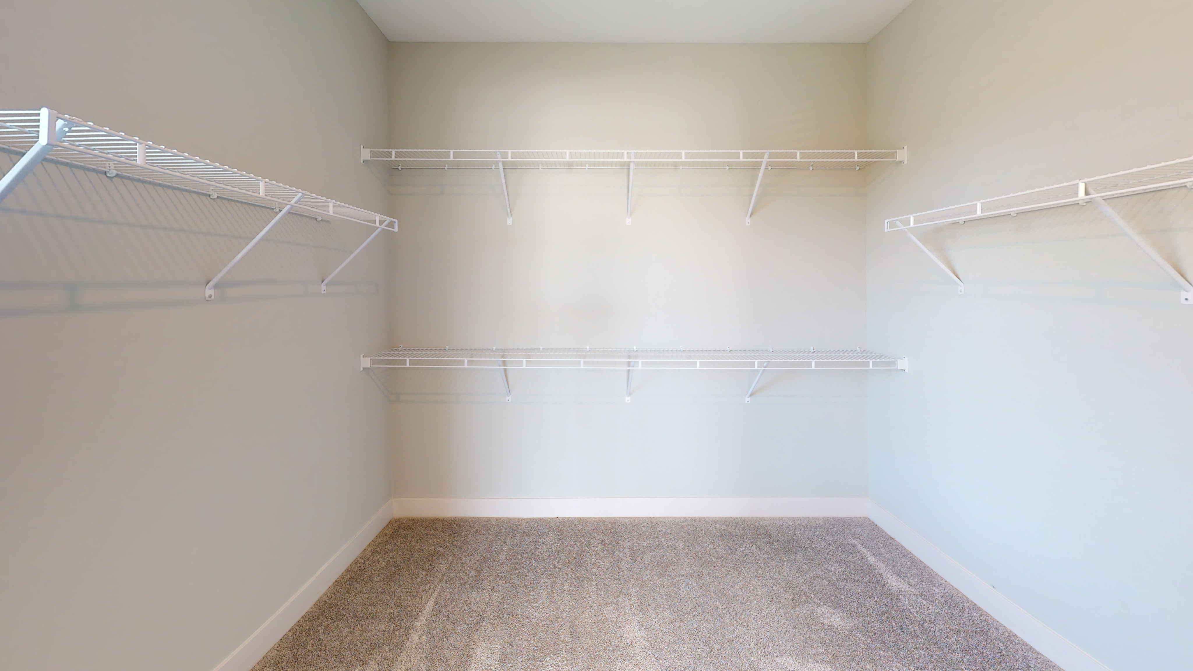 Spacious walk-in closet with ample shelving and neutral carpet flooring, perfect for organized storage.