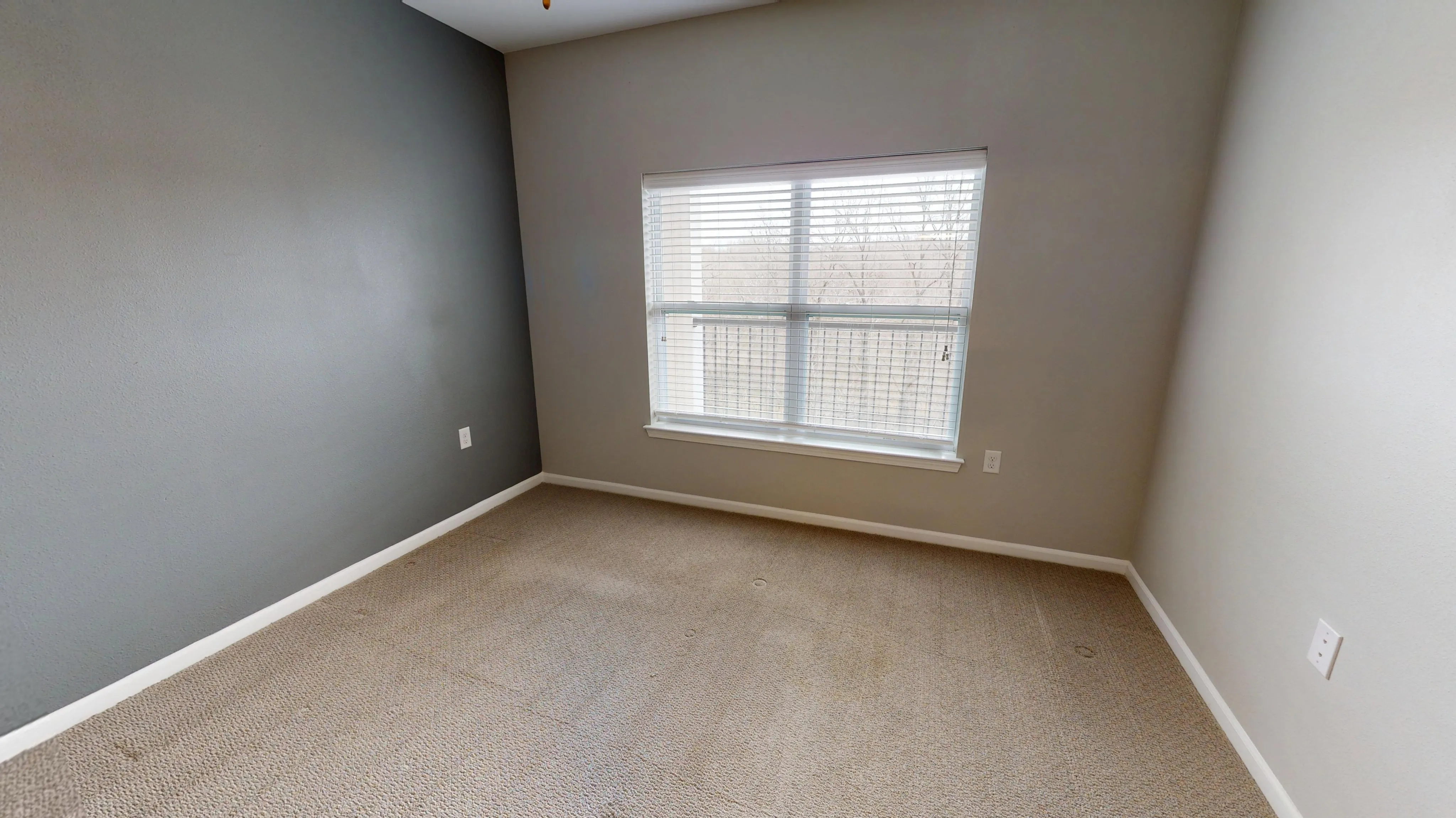 Bright, cozy bedroom with soft carpet flooring and a large window allowing natural light to fill the space.