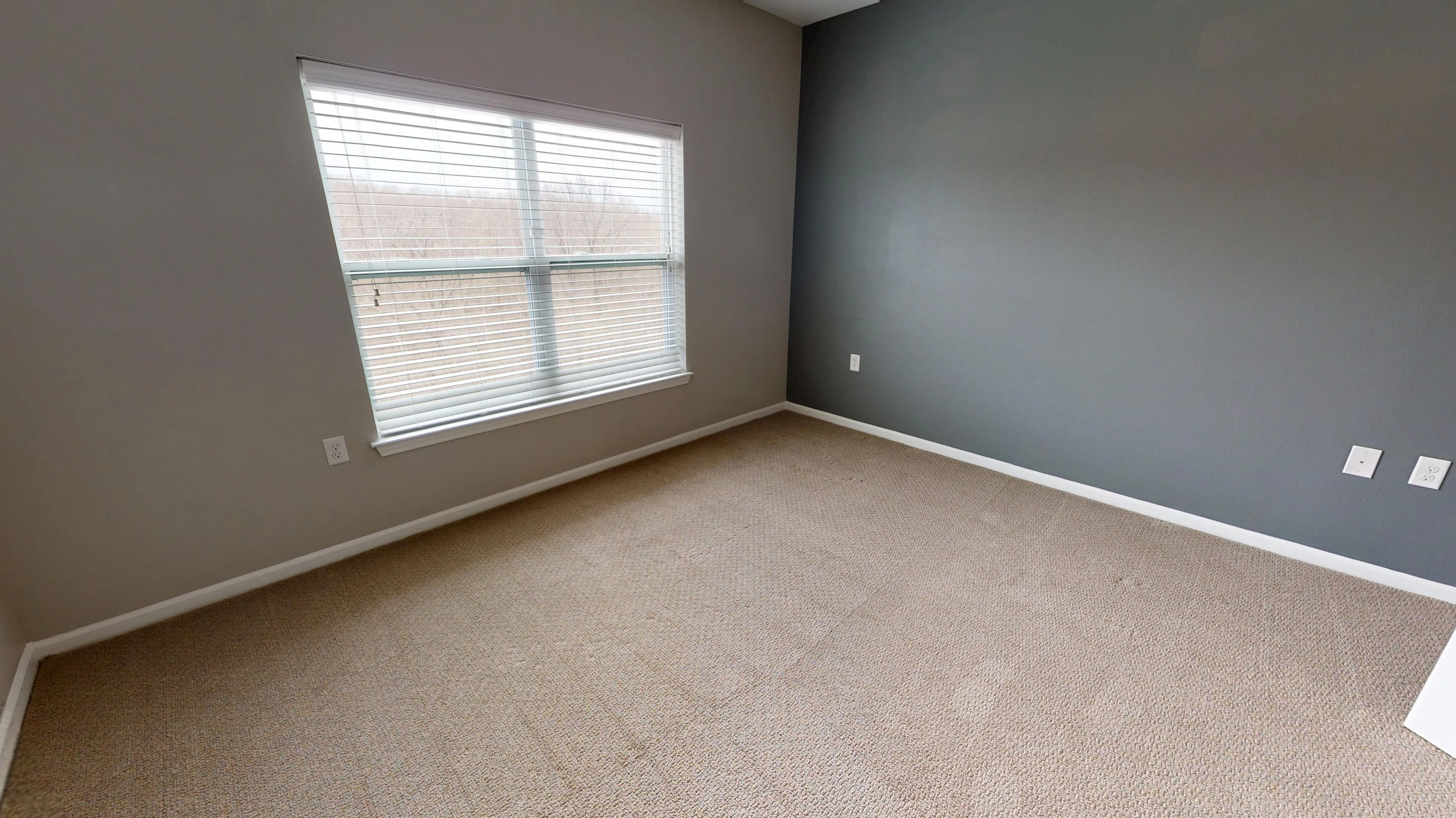 Bright and airy bedroom with large window and cozy carpet, perfect for relaxation.