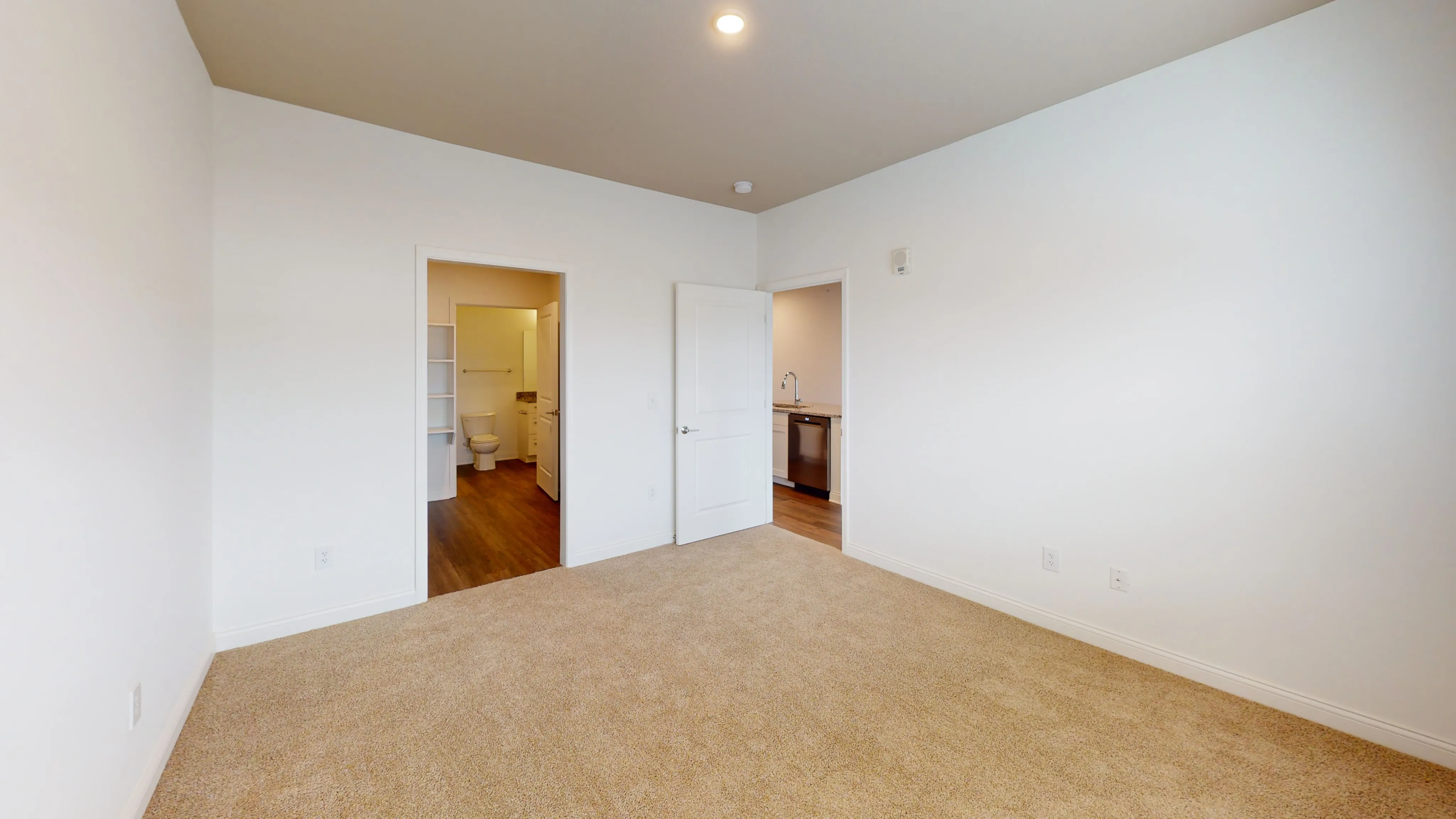 Bright, cozy bedroom with soft carpet, connected to a modern bathroom and kitchen featuring sleek flooring and stainless steel appliances.