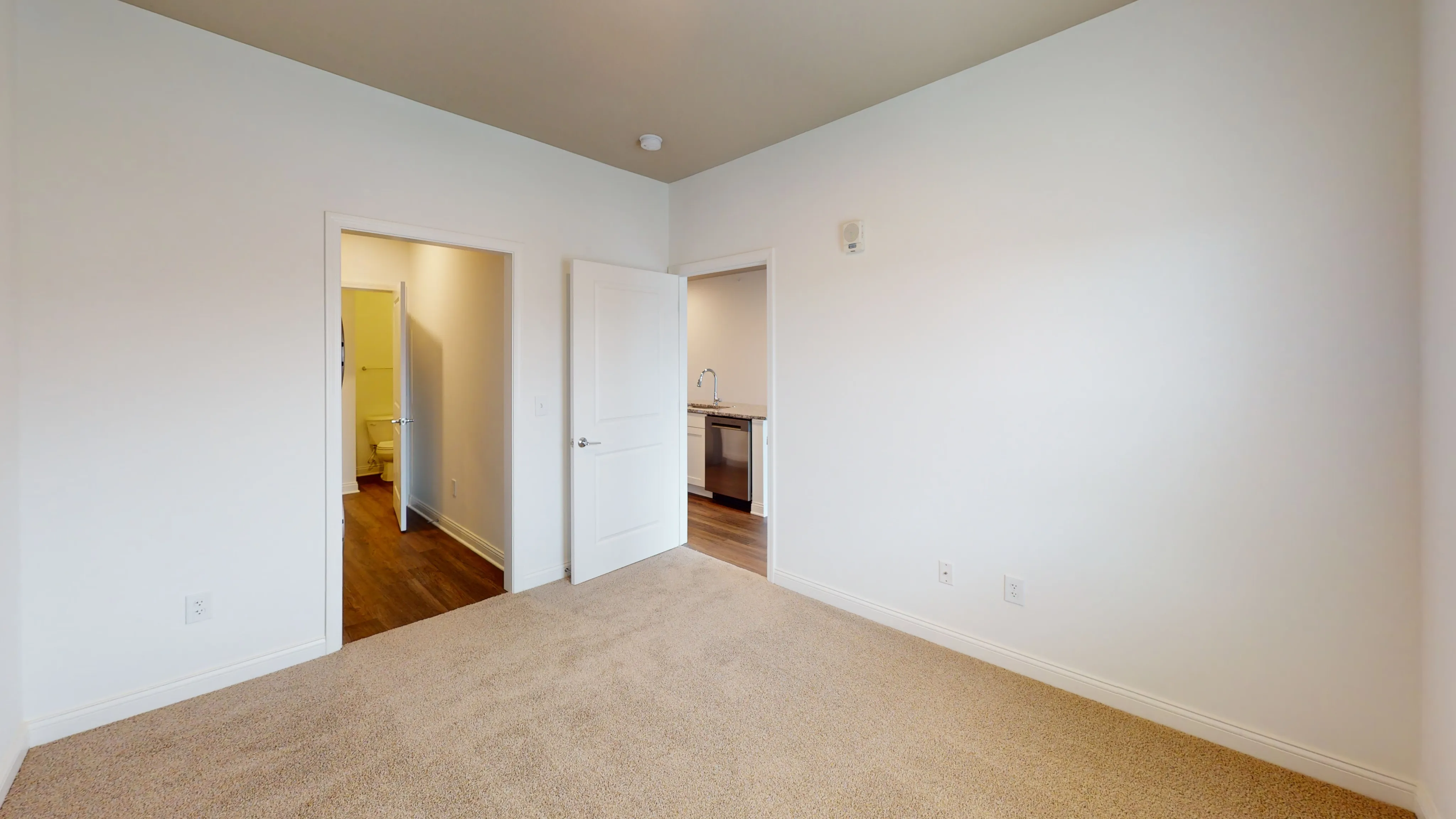Bright and cozy bedroom with plush carpeting, freshly painted walls, and direct access to a modern kitchen and bathroom.