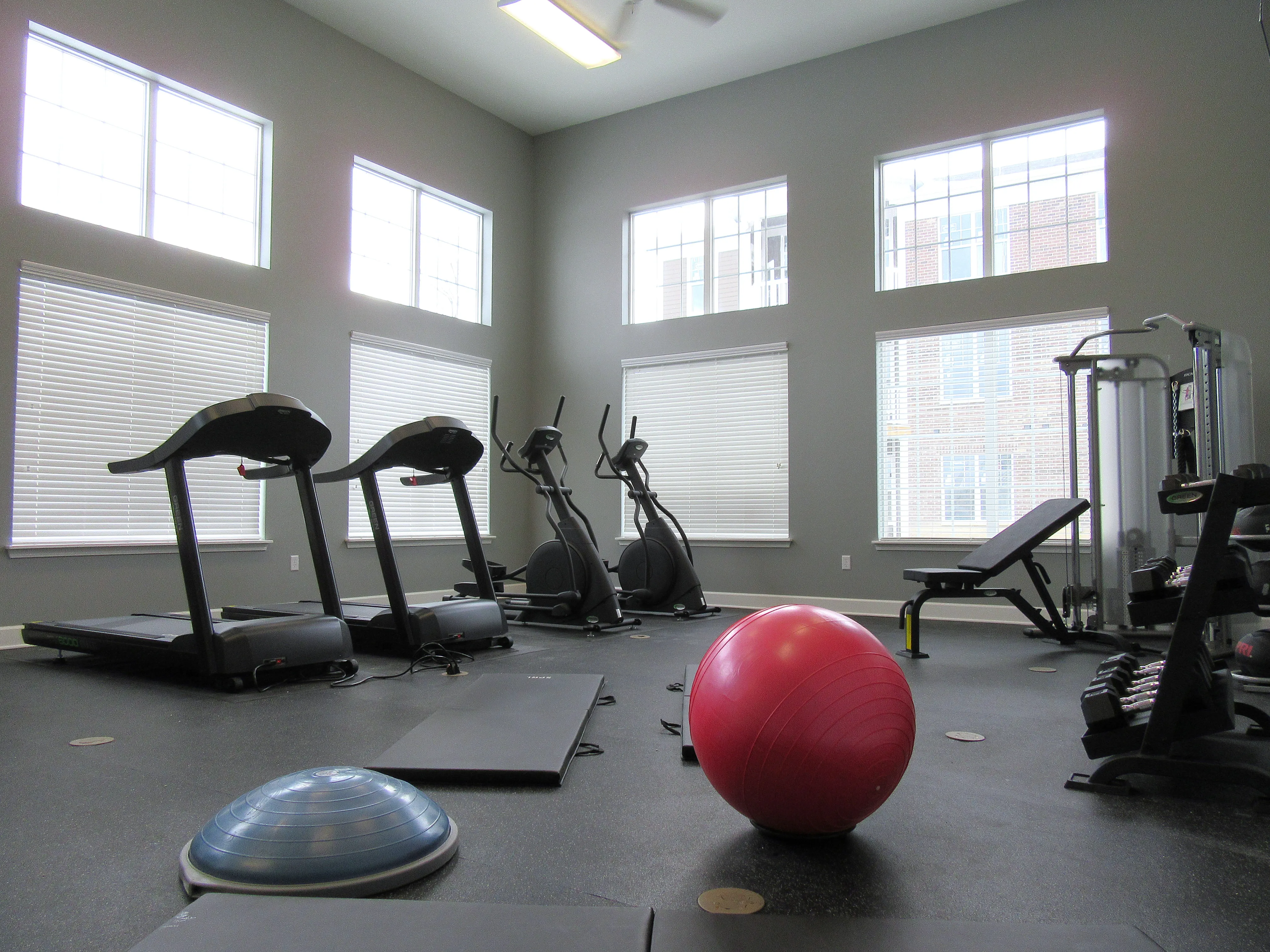 Bright and spacious gym featuring modern treadmills, elliptical machines, and a vibrant exercise ball next to light-filled windows.