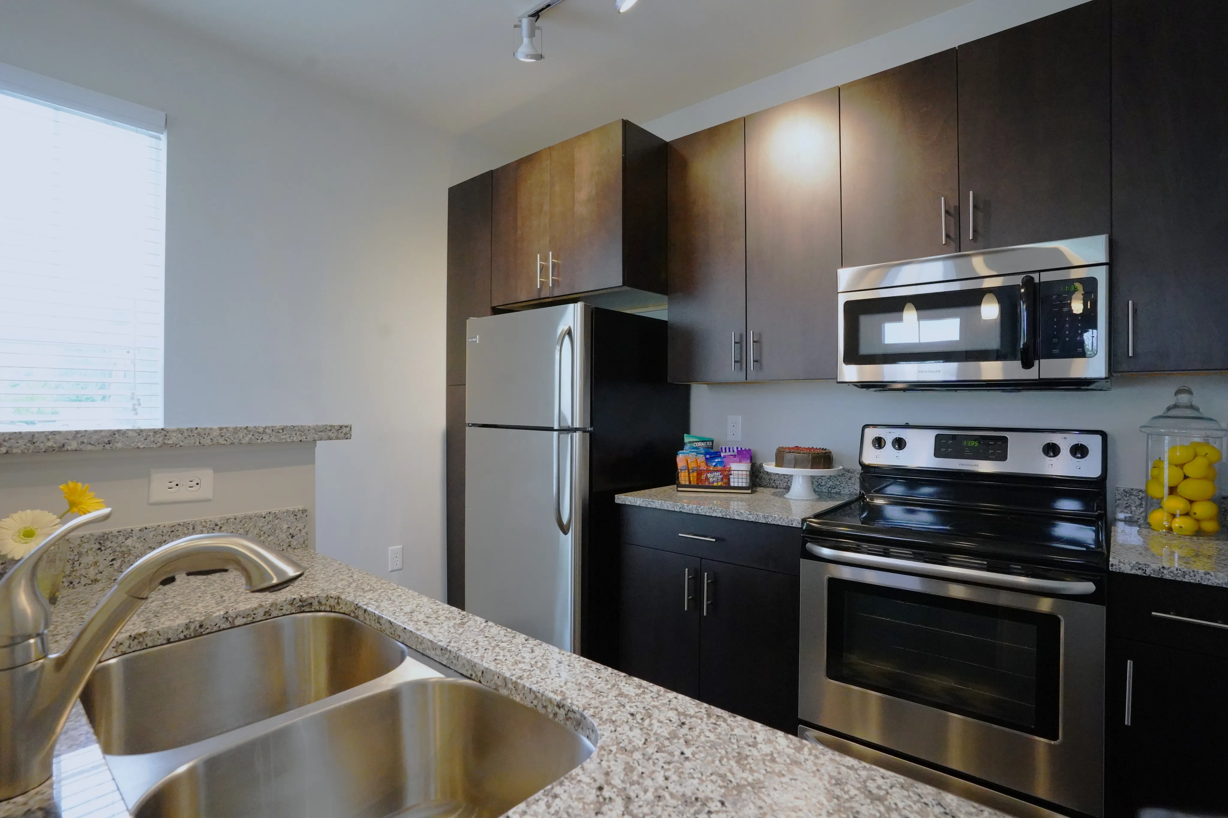 Modern kitchen with sleek dark cabinets, stainless steel appliances, and granite countertops, featuring ample natural light and stylish decor.
