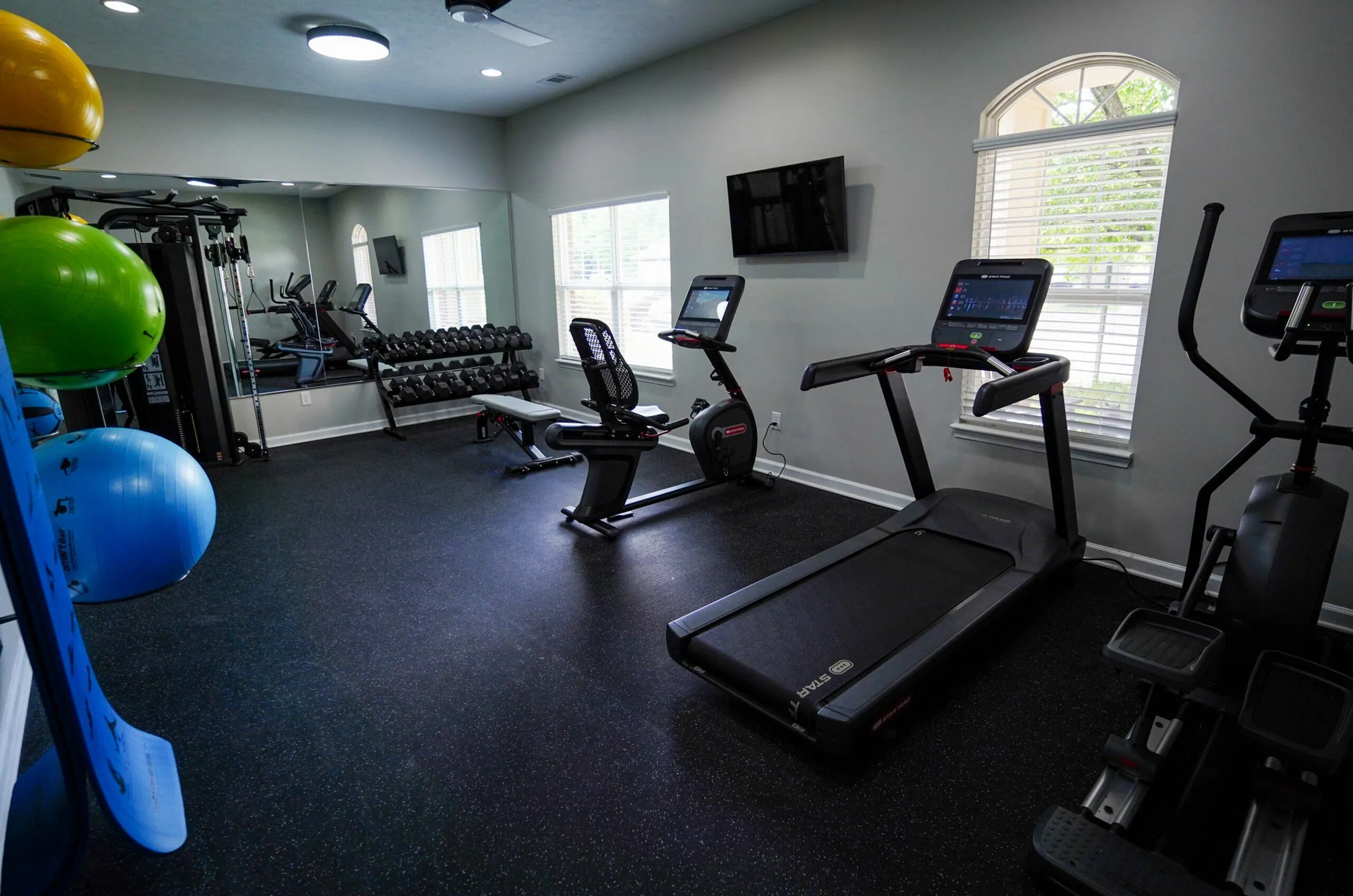 Modern fitness room equipped with treadmills, exercise bike, weights, and vibrant yoga balls under natural lighting.