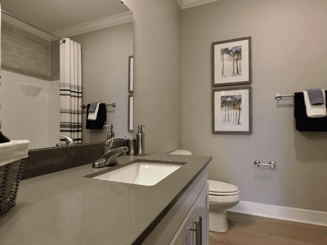 Elegant modern bathroom with sleek counter, stylish fixtures, and tasteful decor.