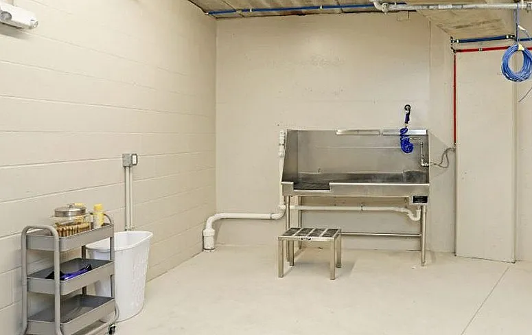 Spacious utility room with stainless steel wash station and modern plumbing. Ideal for versatile apartment amenities.