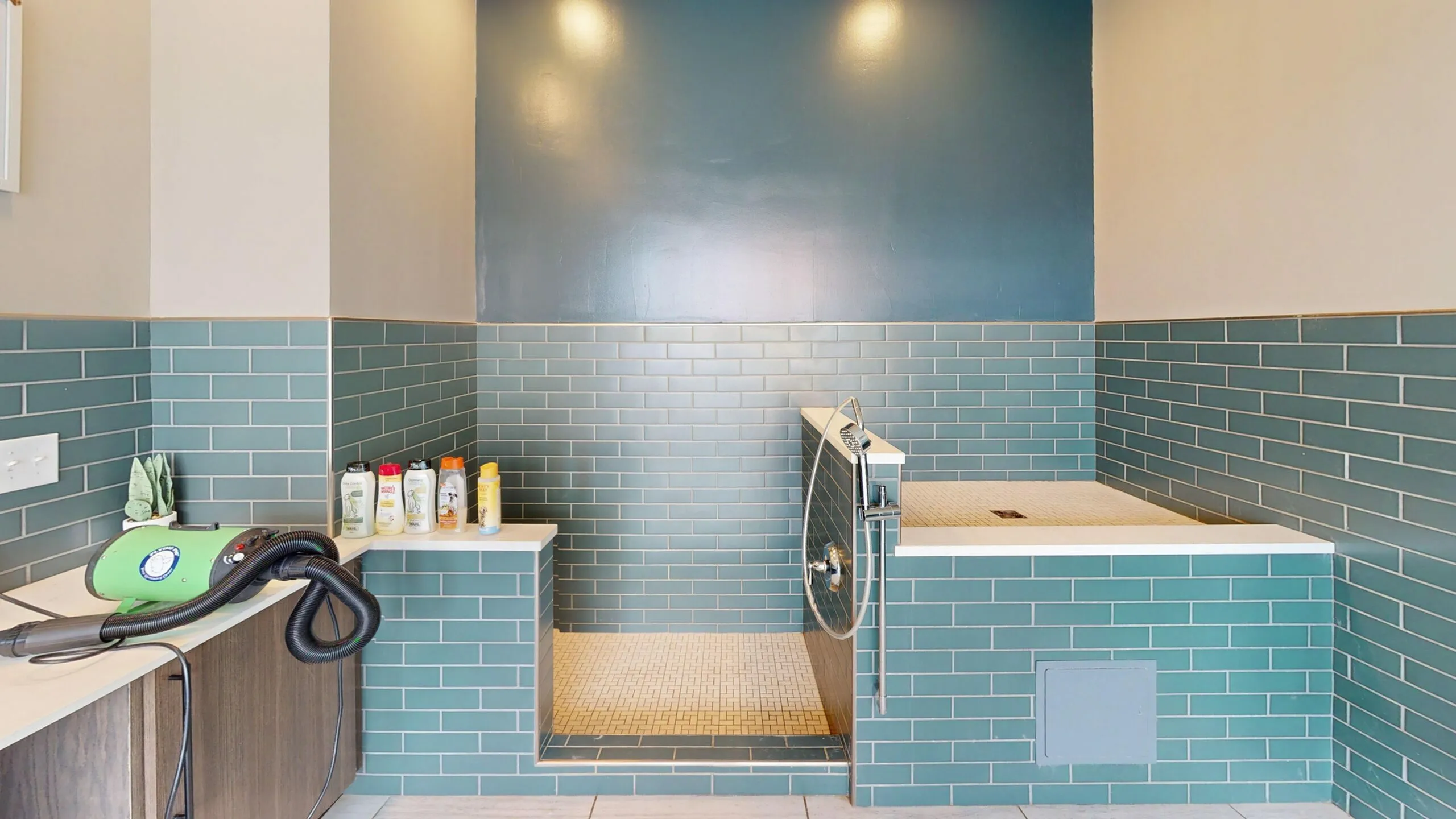 Modern pet washing station with chic teal subway tiles and convenient grooming products, ideal for pet-friendly living.