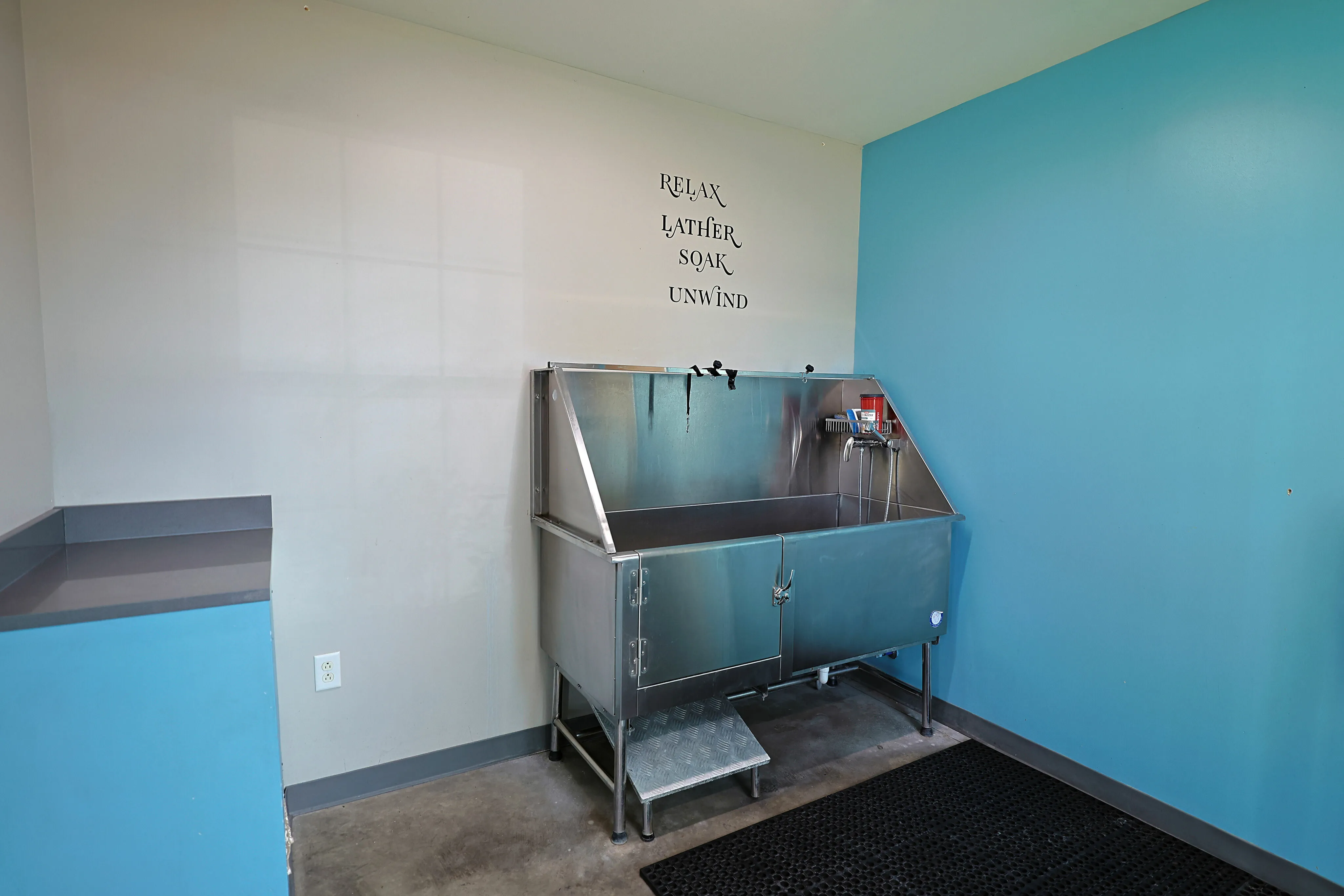 Bright and modern pet wash station featuring a stainless steel tub and vibrant blue walls, with an inviting message to relax and unwind.