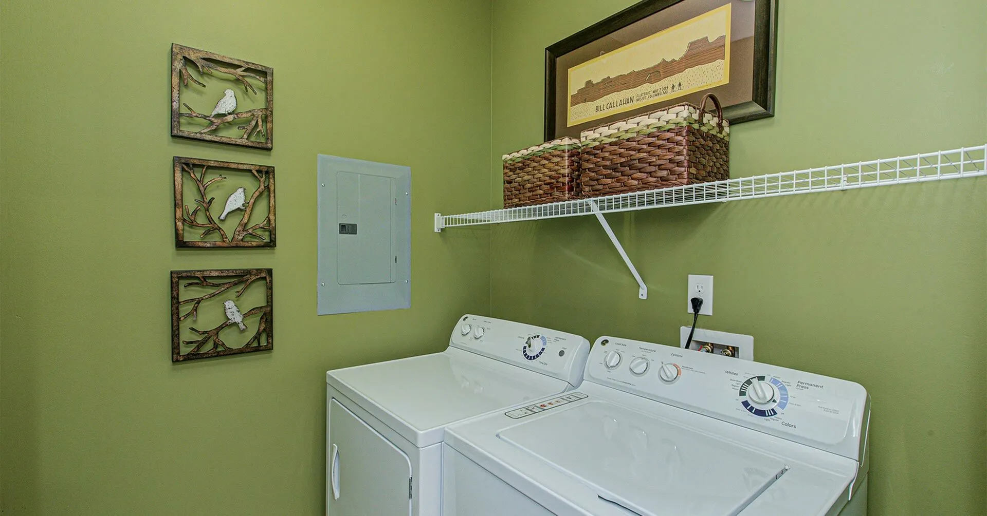 Charming laundry room with elegant green walls, featuring a modern washer and dryer, stylish bird-themed wall decor, and practical shelving with wicker baskets.