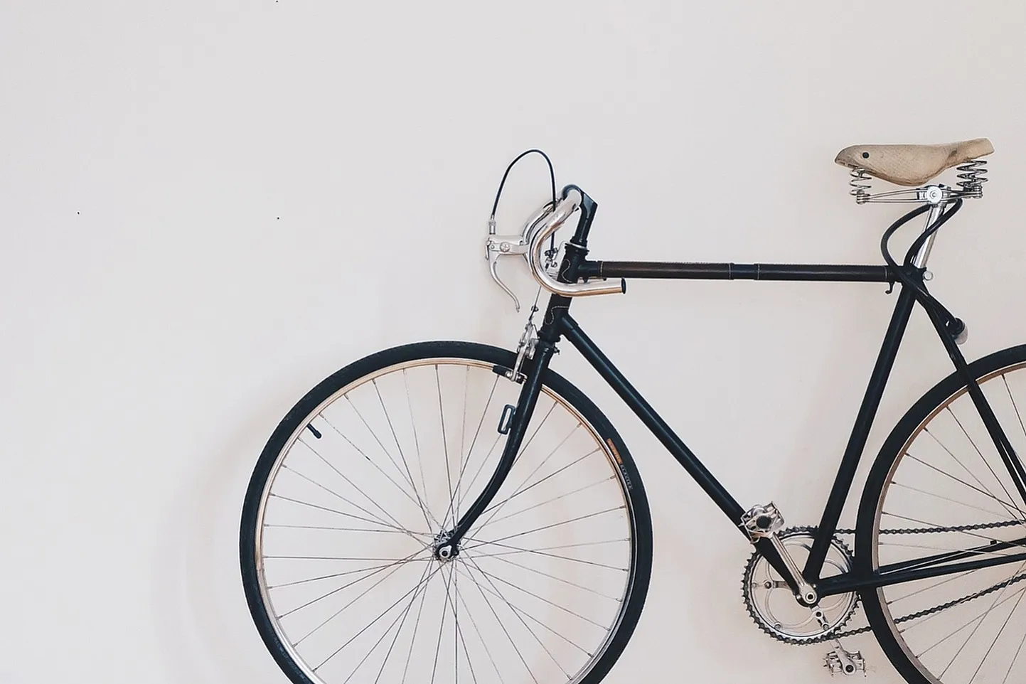 Chic urban apartment featuring a sleek bicycle against a minimalist white wall on polished wooden flooring, complemented by vibrant indoor greenery.