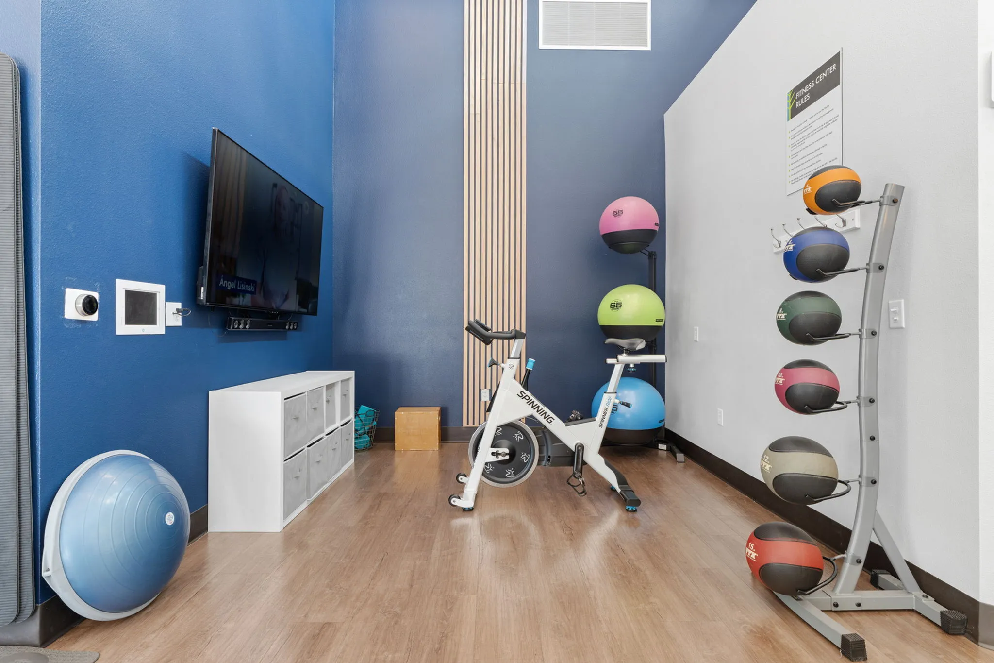 Modern home gym with exercise bike, colorful medicine balls, wall-mounted TV, and sleek storage units against a vibrant blue wall.
