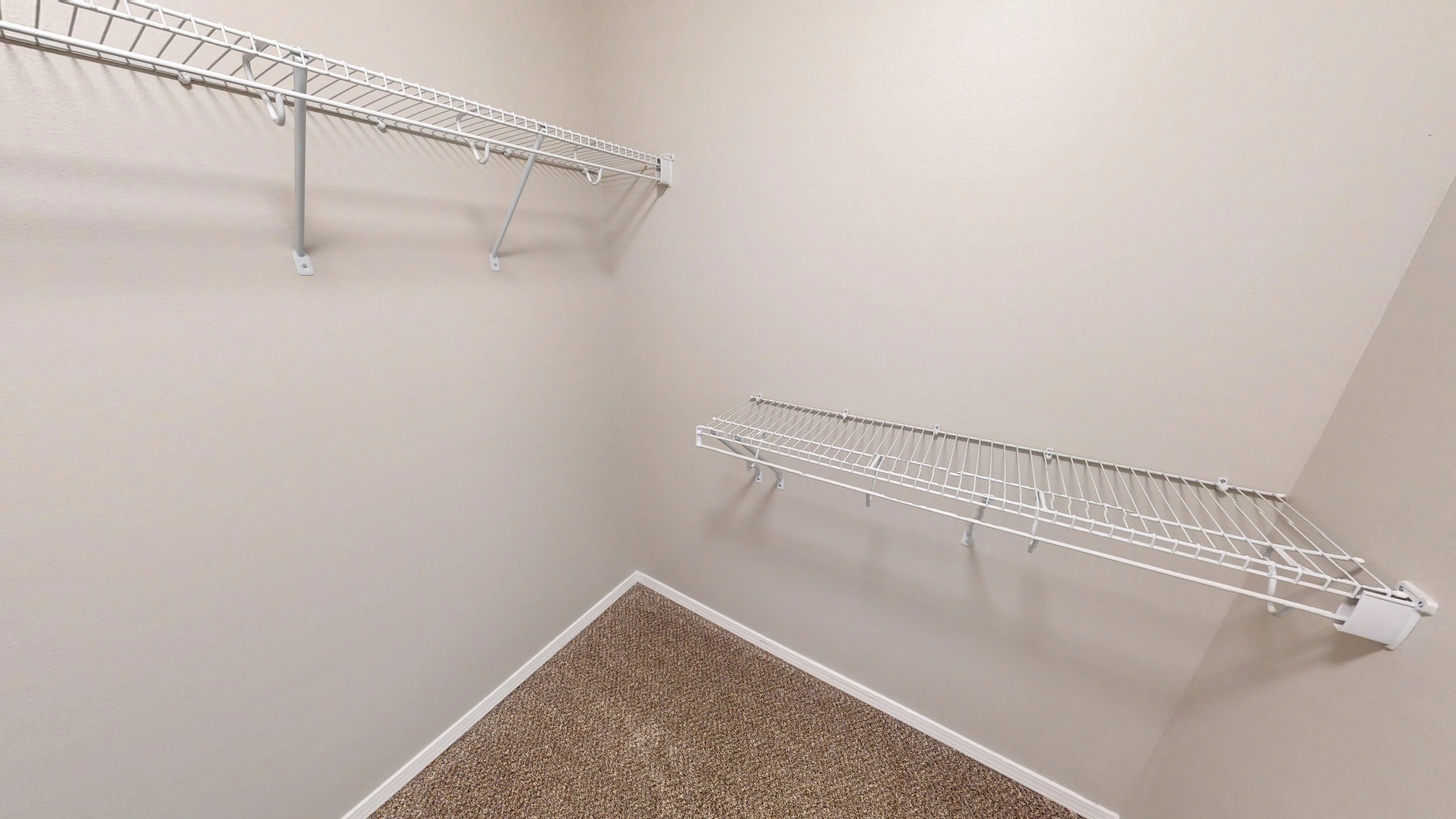 Spacious and well-organized walk-in closet with sturdy shelving and plush carpeting, perfect for stylish storage solutions.