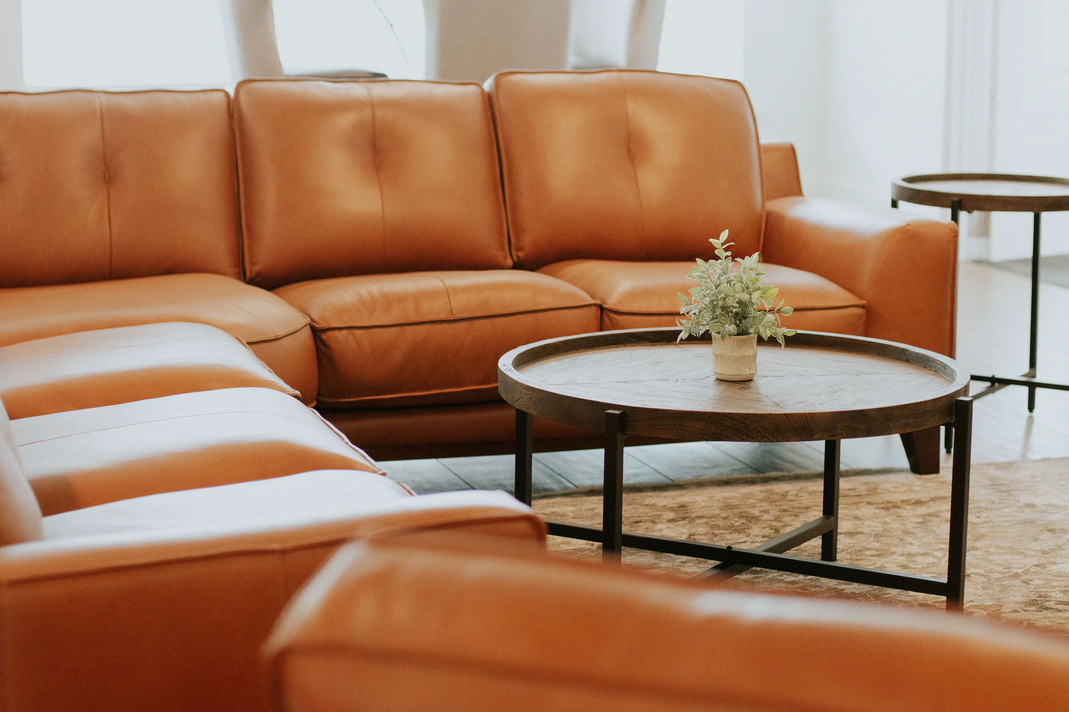 Elegant living room with a luxurious leather sofa, stylish wooden coffee table, and a vibrant green plant centerpiece.