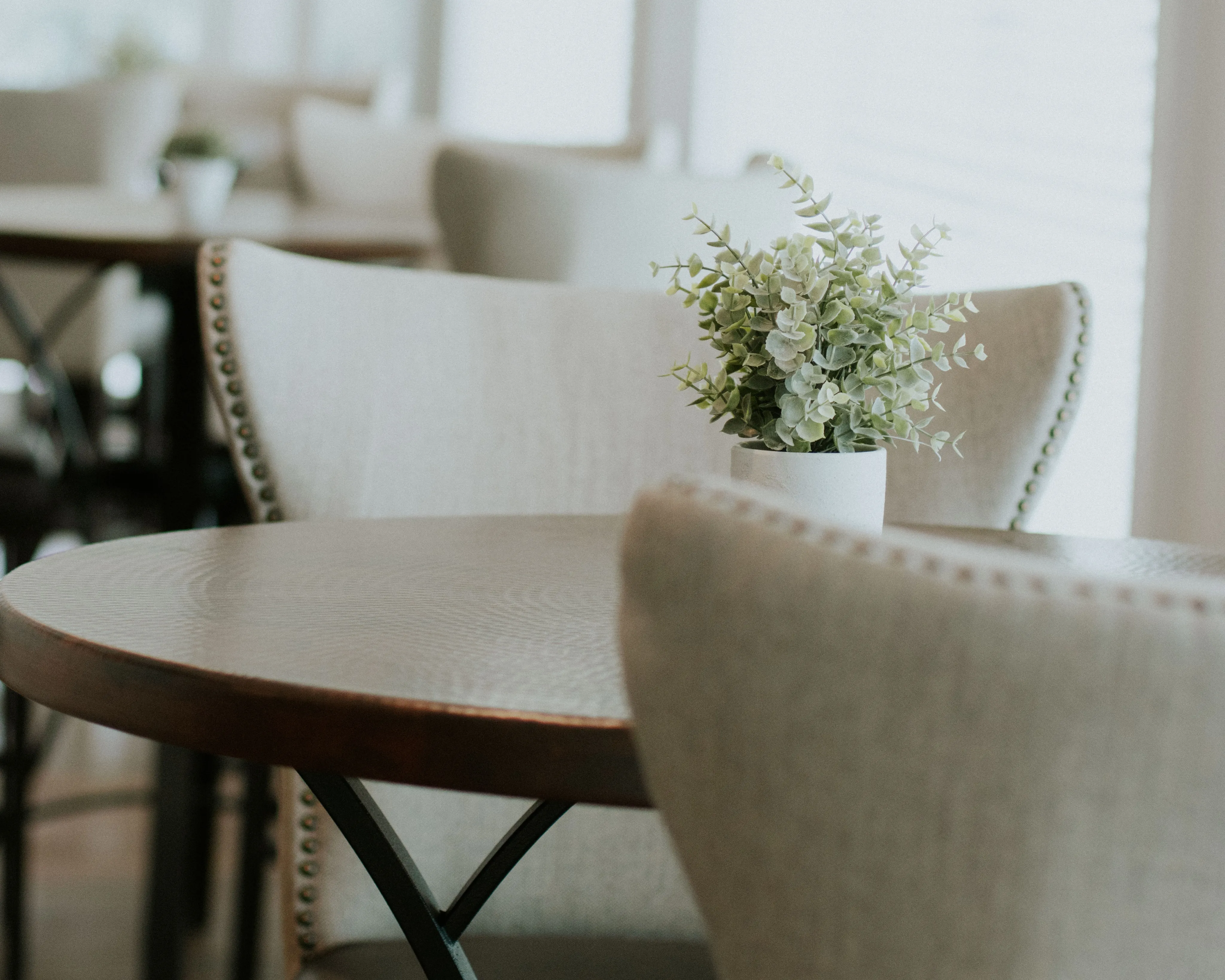 Elegant dining area with a wooden table, plush beige chairs, and a charming potted plant centerpiece.