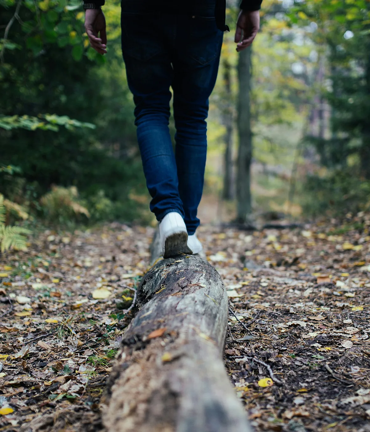 Person walking on a fallen log in a lush forest, surrounded by vibrant green foliage and sunlight filtering through the trees.