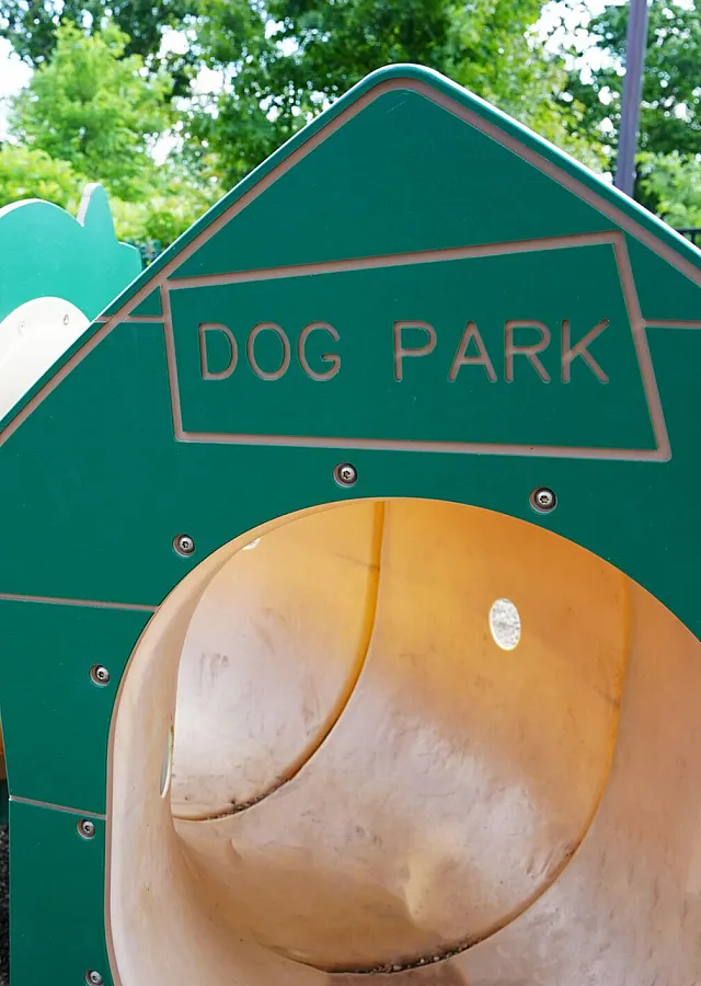 Charming dog park with a playful green doghouse structure, surrounded by lush greenery and secure fencing.
