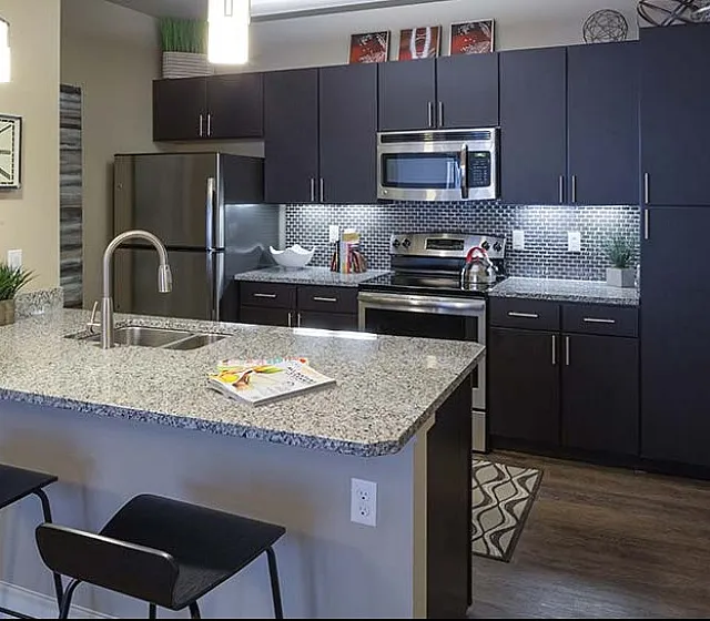 Modern kitchen with sleek dark cabinets, stainless steel appliances, and a stylish granite countertop breakfast bar.