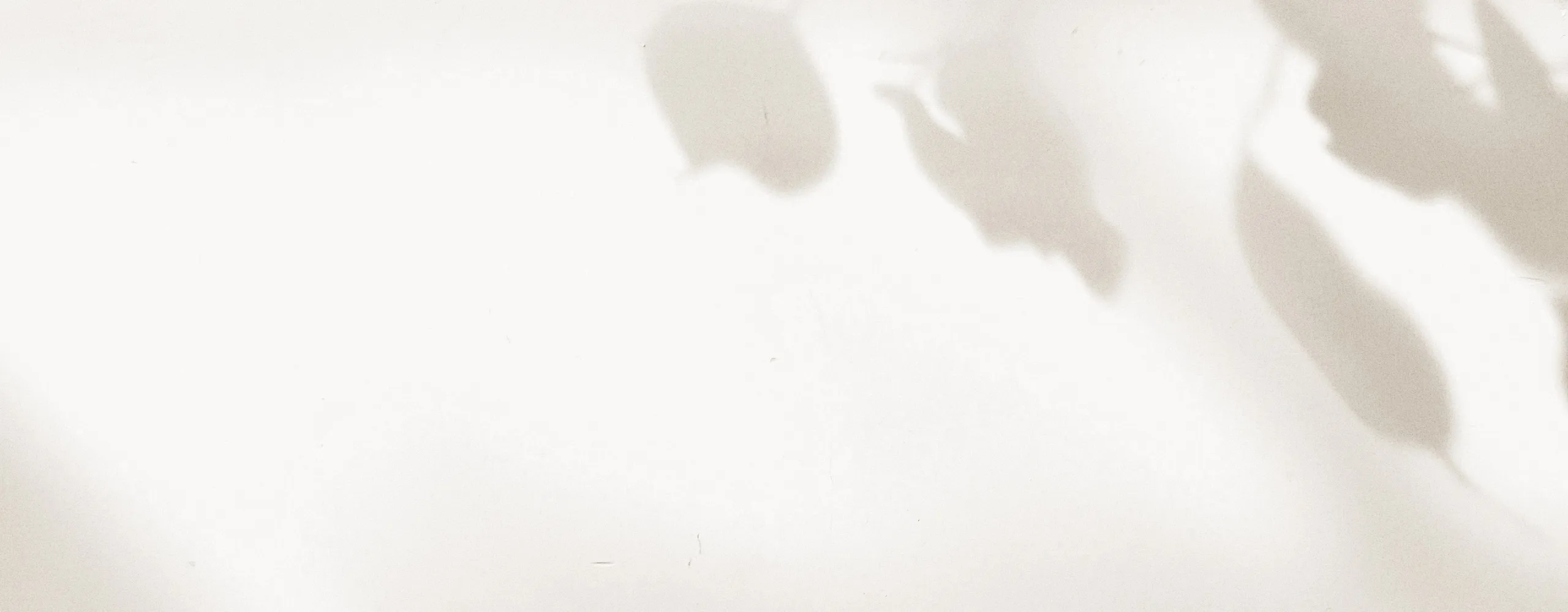 Minimalistic wallpaper pattern with soft leaf shadows creating a serene and elegant ambiance.