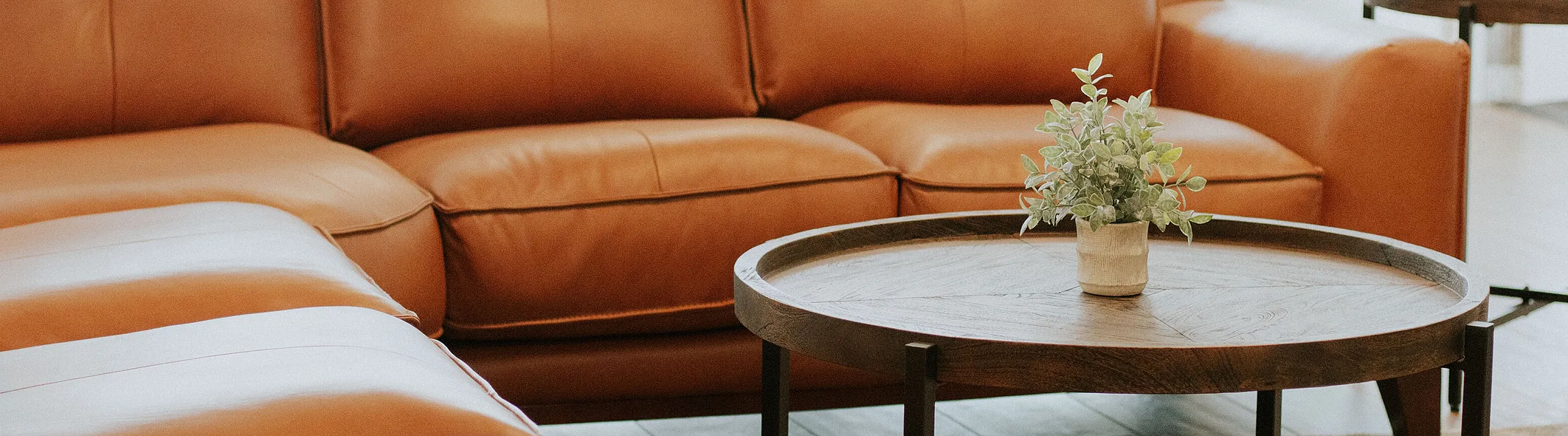 Elegant living room with luxurious leather sofa, chic round wooden coffee table, and stylish decor plant centerpiece.