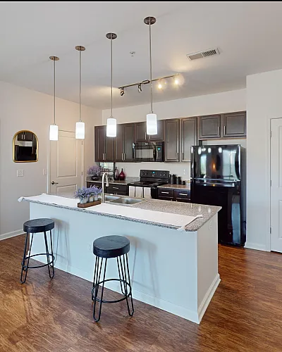 Bright, modern kitchen with sleek appliances, granite countertops, and stylish pendant lighting.
