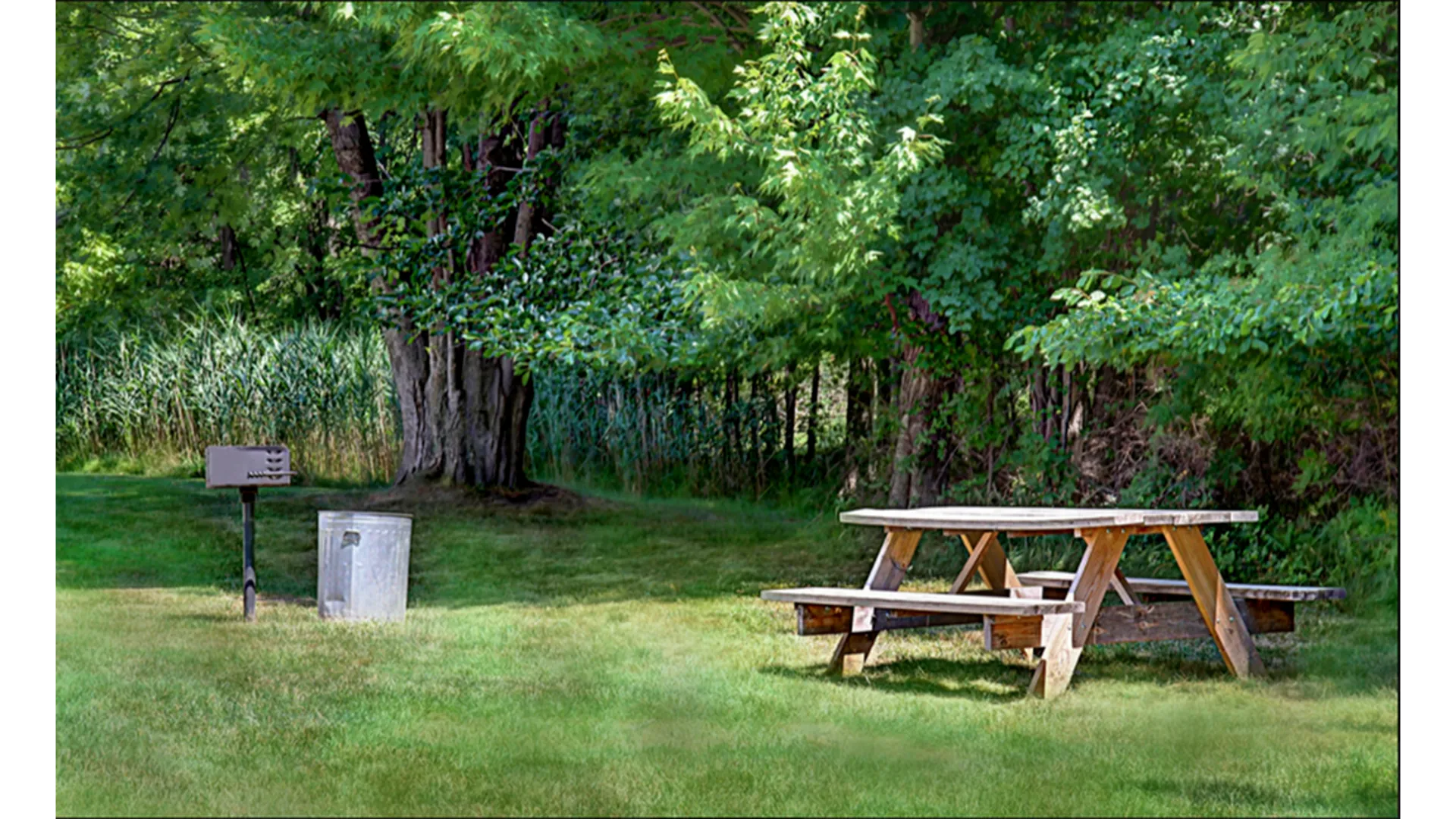 Picnic area