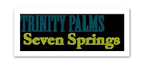 Logo of Trinity Palms Seven Springs with a modern and vibrant design.