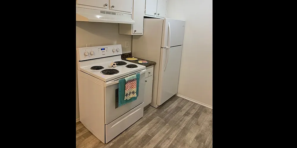 Bright and functional kitchen with modern appliances and ample cabinet space.