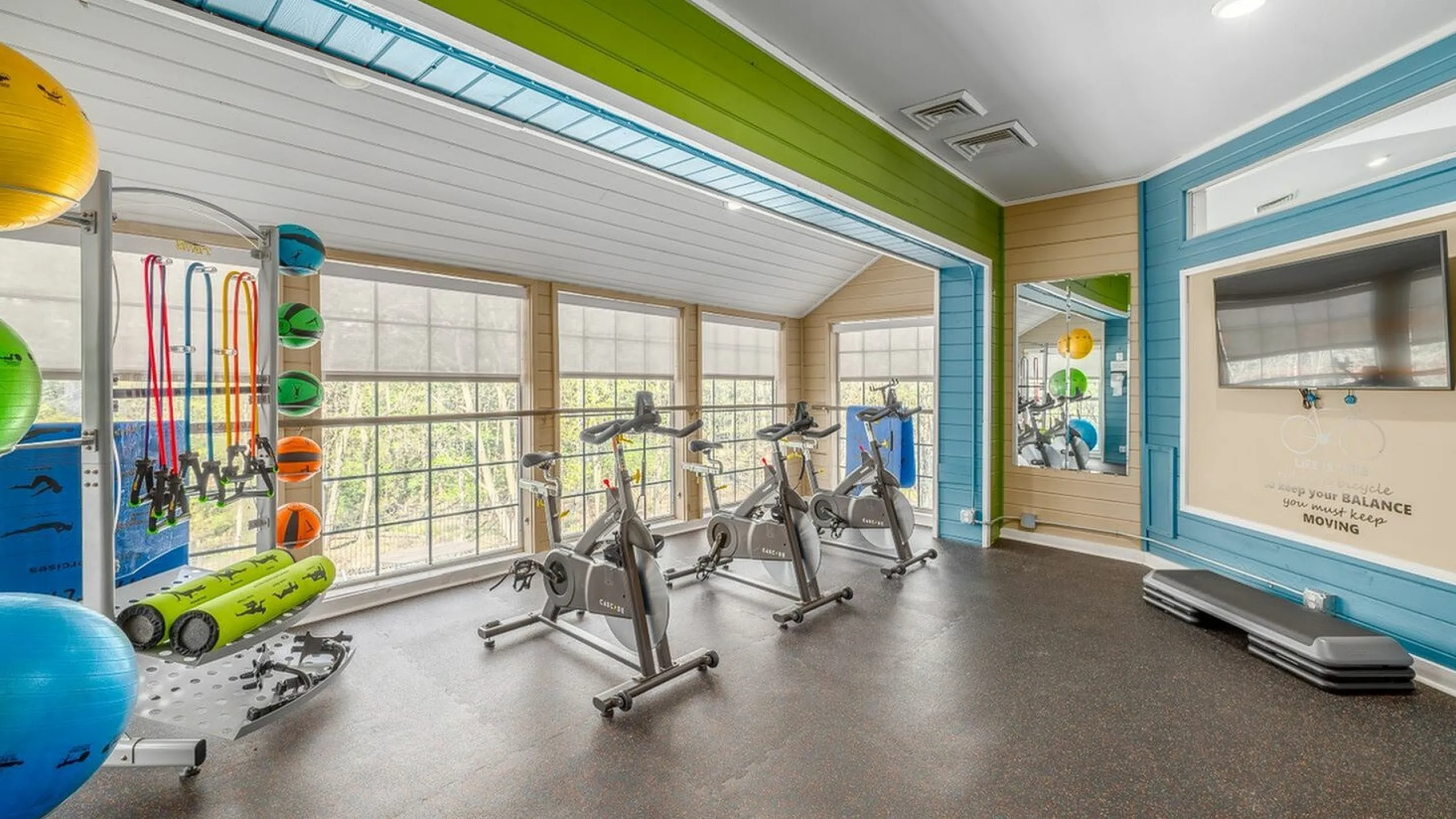 Bright and inviting fitness studio with modern stationary bikes, colorful exercise balls, and scenic windows enhancing the workout experience.